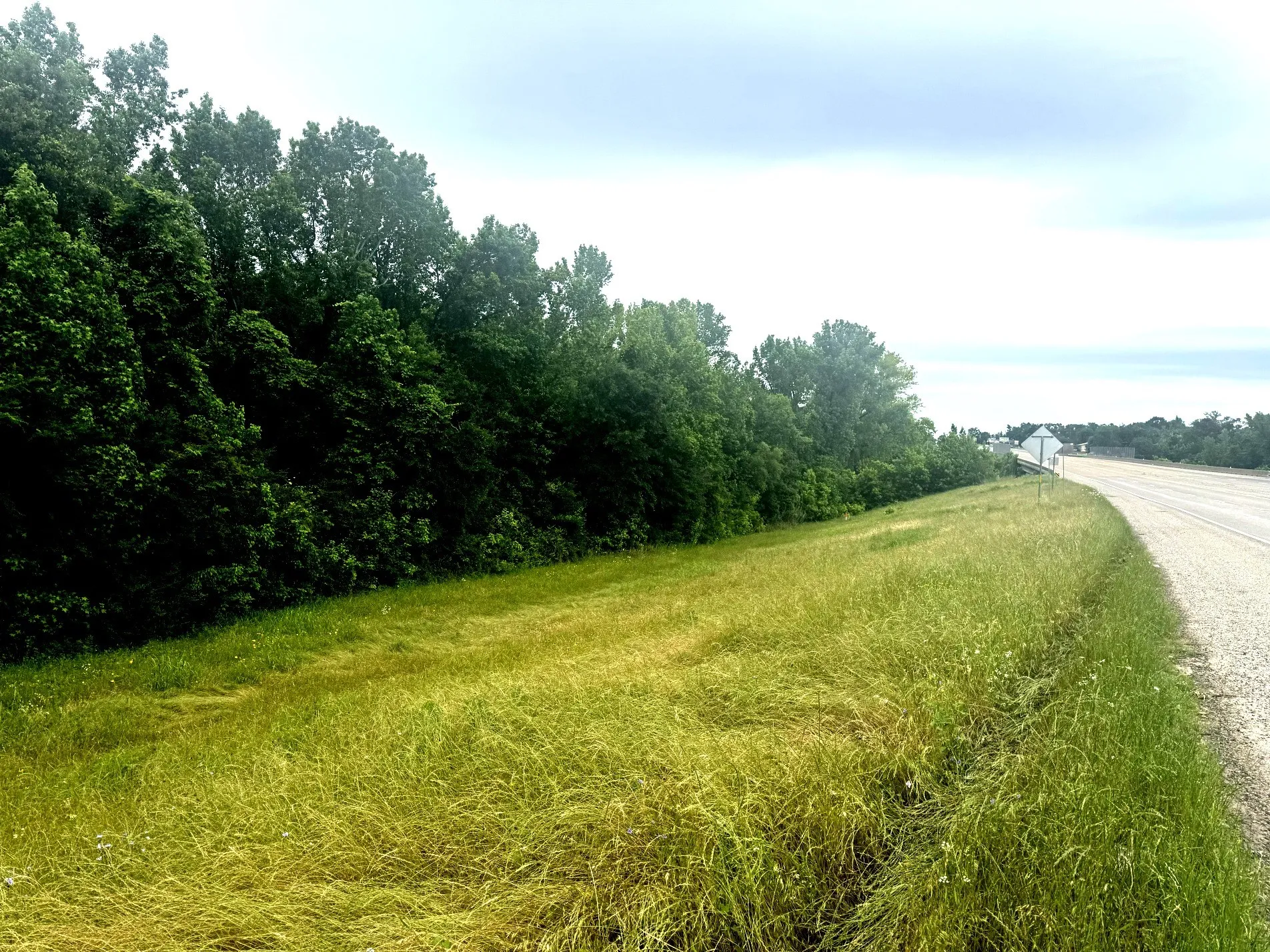 Unimproved Land For Sale in Anderson County , 6175 Loop 256, Palestine, Texas 75801, 0, 0, Garage spaces, 0 Sqft, built in 0, Price $595,000, mls#21272226, Real Estate Agent in Palestine, Homes For Sale in Anderson county, Homes For Sale in Palestine, Realtor in Palestine Texas, Real Estate Brokerage Independent Realty Texas, Luminita Cordes Realtor