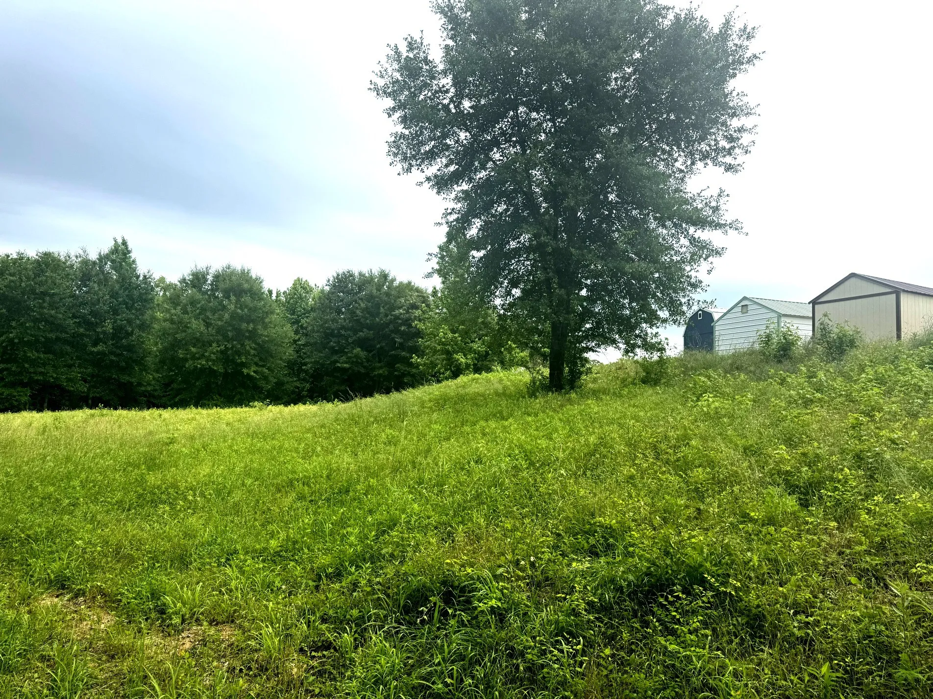 Unimproved Land For Sale in Anderson County , 6175 Loop 256, Palestine, Texas 75801, 0, 0, Garage spaces, 0 Sqft, built in 0, Price $595,000, mls#21272226, Real Estate Agent in Palestine, Homes For Sale in Anderson county, Homes For Sale in Palestine, Realtor in Palestine Texas, Real Estate Brokerage Independent Realty Texas, Luminita Cordes Realtor
