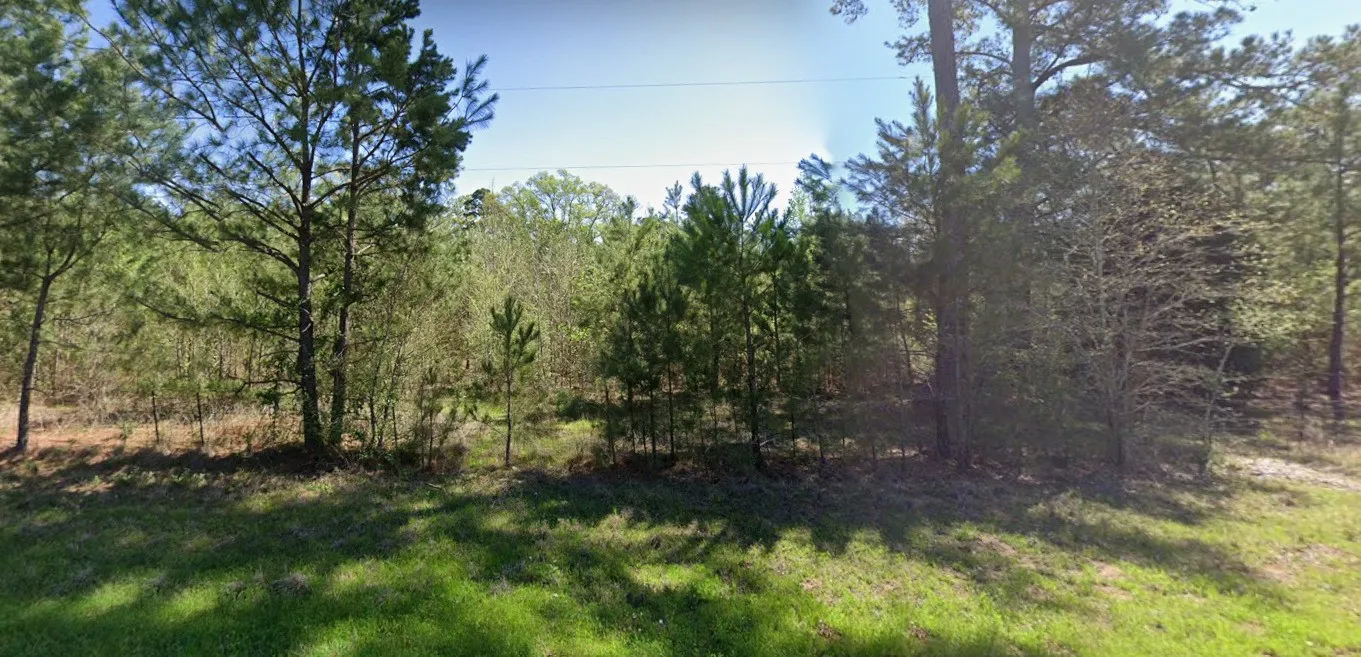 Improved Land For Sale in Anderson County , 4890 Fm 19, Palestine, Texas 75803, 0, 0, Garage spaces, 0 Sqft, built in 0, Price $1,200,000, mls#21272228, Real Estate Agent in Palestine, Homes For Sale in Anderson county, Homes For Sale in Palestine, Realtor in Palestine Texas, Real Estate Brokerage Independent Realty Texas, Luminita Cordes Realtor