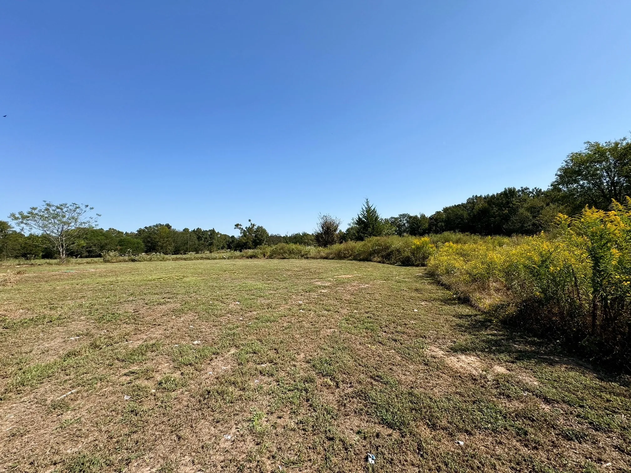 Manufactured Home For Sale in Morris County , 39 CR 1206, Daingerfield, Texas 75638, 3 Bedroom, 2 Bathroom, Garage spaces, 1,736 Sqft, built in 2024, mls#21271686, Real Estate Agent in Daingerfield, Homes For Sale in Morris county, Homes For Sale in Daingerfield, Realtor in Daingerfield Texas, Real Estate Brokerage Independent Realty Texas, Luminita Cordes Realtor
