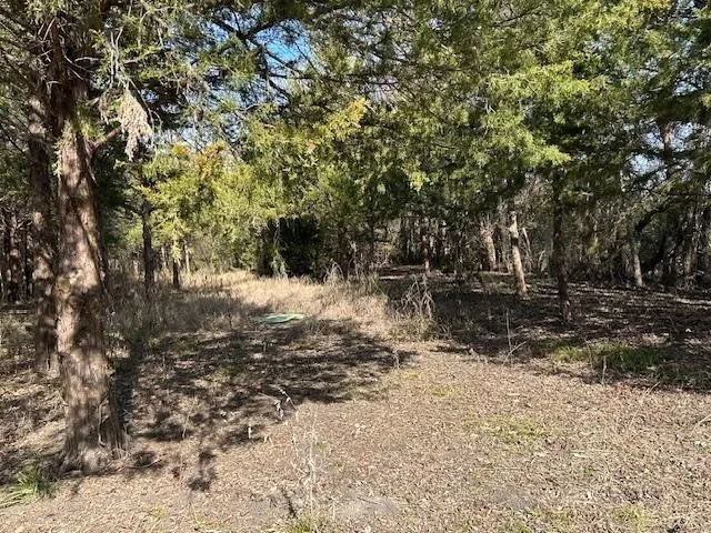 Unimproved Land For Sale in Collin County , 5215 COUNTY ROAD 277, Melissa, Texas 75454, 0, 0, Garage spaces, 0 Sqft, built in 0, Price $4,500,000, mls#21272390, Real Estate Agent in Melissa, Homes For Sale in Collin county, Homes For Sale in Melissa, Realtor in Melissa Texas, Real Estate Brokerage Independent Realty Texas, Luminita Cordes Realtor