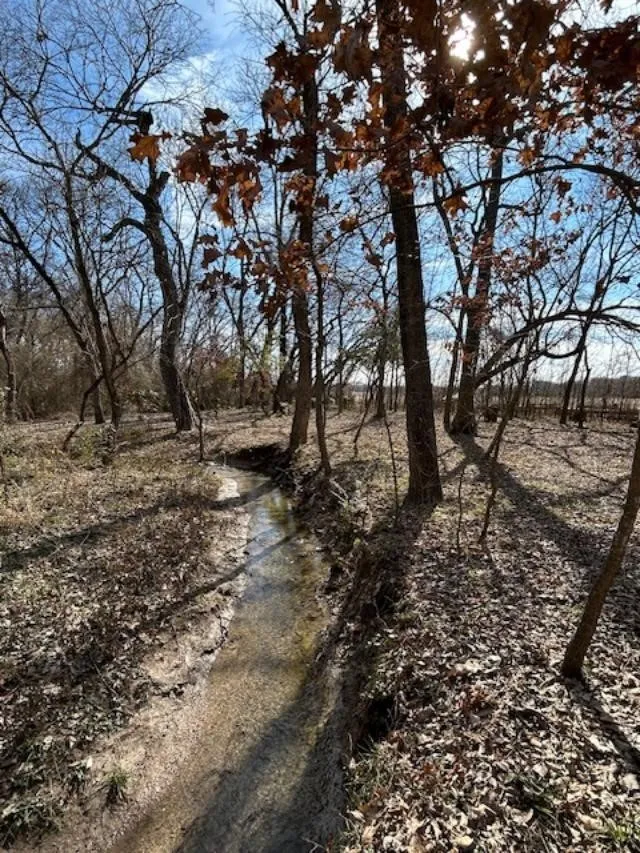 Unimproved Land For Sale in Collin County , 5215 COUNTY ROAD 277, Melissa, Texas 75454, 0, 0, Garage spaces, 0 Sqft, built in 0, Price $4,500,000, mls#21272390, Real Estate Agent in Melissa, Homes For Sale in Collin county, Homes For Sale in Melissa, Realtor in Melissa Texas, Real Estate Brokerage Independent Realty Texas, Luminita Cordes Realtor