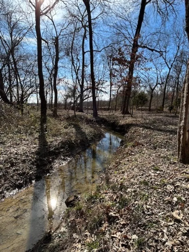Unimproved Land For Sale in Collin County , 5215 COUNTY ROAD 277, Melissa, Texas 75454, 0, 0, Garage spaces, 0 Sqft, built in 0, Price $4,500,000, mls#21272390, Real Estate Agent in Melissa, Homes For Sale in Collin county, Homes For Sale in Melissa, Realtor in Melissa Texas, Real Estate Brokerage Independent Realty Texas, Luminita Cordes Realtor