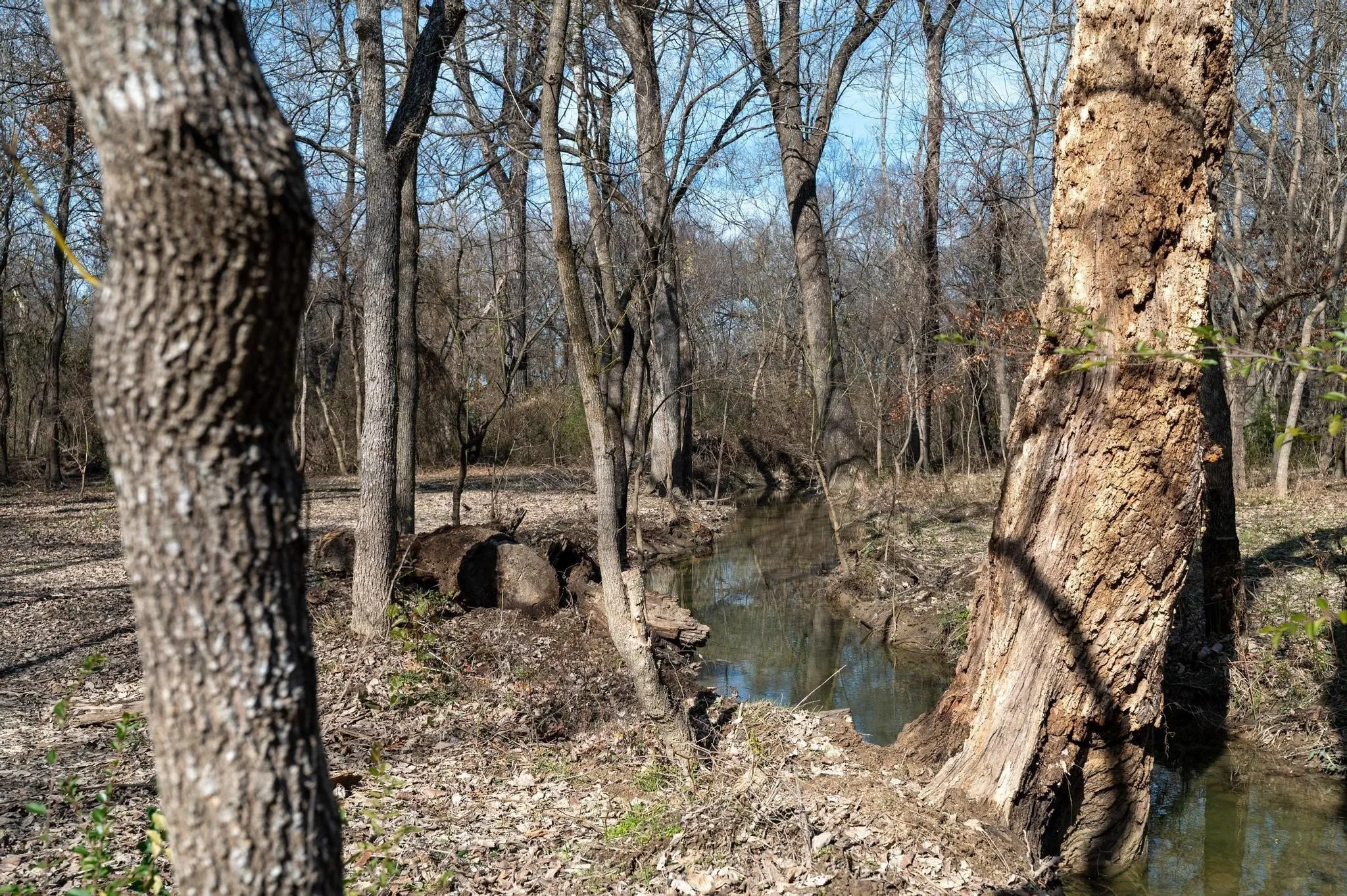Unimproved Land For Sale in Collin County , 5215 COUNTY ROAD 277, Melissa, Texas 75454, 0, 0, Garage spaces, 0 Sqft, built in 0, Price $4,500,000, mls#21272390, Real Estate Agent in Melissa, Homes For Sale in Collin county, Homes For Sale in Melissa, Realtor in Melissa Texas, Real Estate Brokerage Independent Realty Texas, Luminita Cordes Realtor