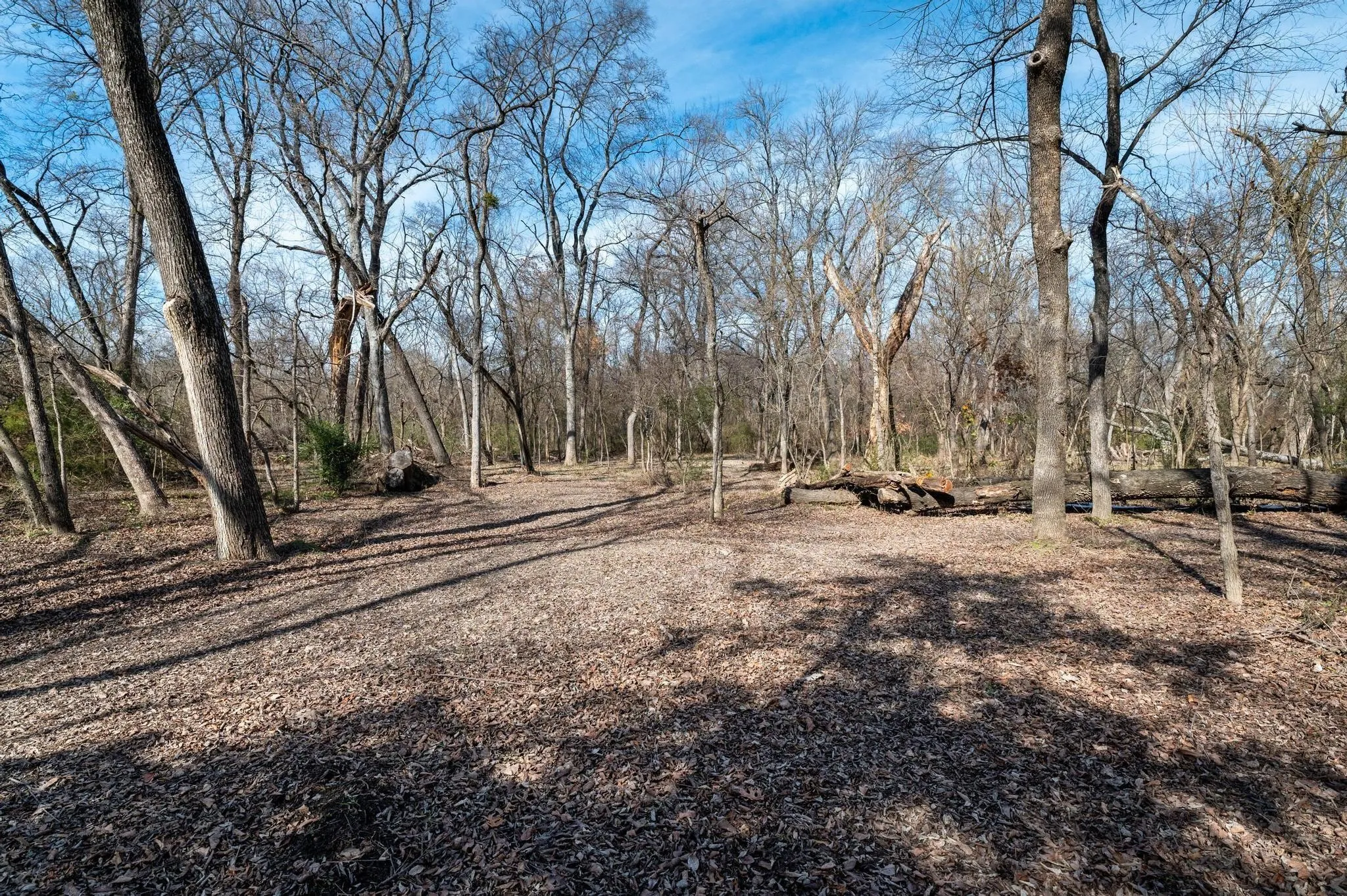 Unimproved Land For Sale in Collin County , 5215 COUNTY ROAD 277, Melissa, Texas 75454, 0, 0, Garage spaces, 0 Sqft, built in 0, Price $4,500,000, mls#21272390, Real Estate Agent in Melissa, Homes For Sale in Collin county, Homes For Sale in Melissa, Realtor in Melissa Texas, Real Estate Brokerage Independent Realty Texas, Luminita Cordes Realtor