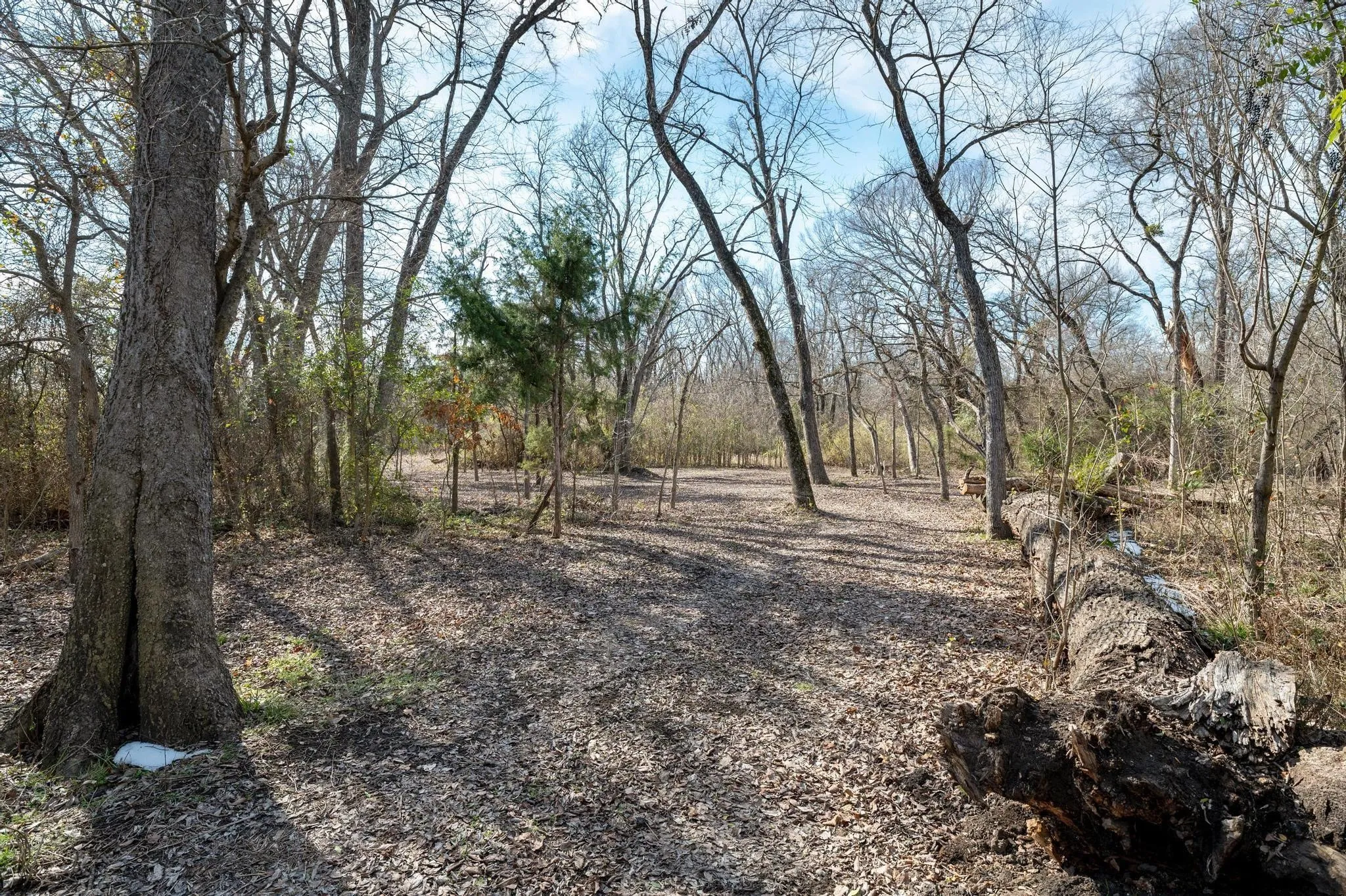 Unimproved Land For Sale in Collin County , 5215 COUNTY ROAD 277, Melissa, Texas 75454, 0, 0, Garage spaces, 0 Sqft, built in 0, Price $4,500,000, mls#21272390, Real Estate Agent in Melissa, Homes For Sale in Collin county, Homes For Sale in Melissa, Realtor in Melissa Texas, Real Estate Brokerage Independent Realty Texas, Luminita Cordes Realtor