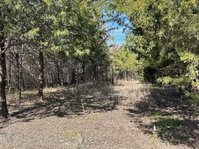 Unimproved Land For Sale in Collin County , 5215 COUNTY ROAD 277, Melissa, Texas 75454, 0, 0, Garage spaces, 0 Sqft, built in 0, Price $4,500,000, mls#21272390, Real Estate Agent in Melissa, Homes For Sale in Collin county, Homes For Sale in Melissa, Realtor in Melissa Texas, Real Estate Brokerage Independent Realty Texas, Luminita Cordes Realtor
