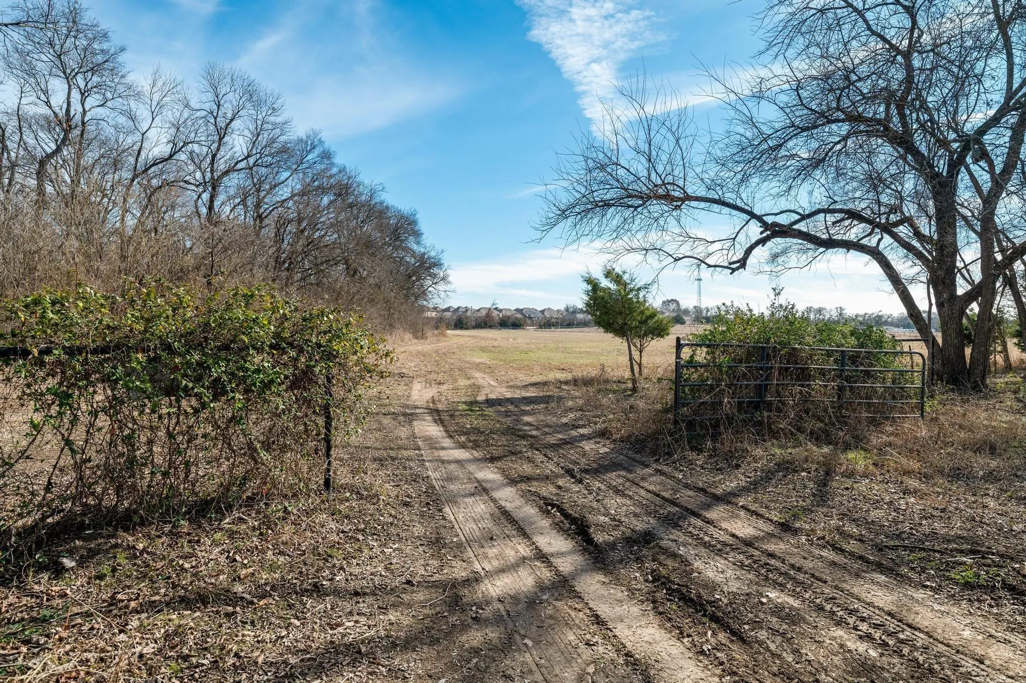 Unimproved Land For Sale in Collin County , 5215 COUNTY ROAD 277, Melissa, Texas 75454, 0, 0, Garage spaces, 0 Sqft, built in 0, Price $4,500,000, mls#21272390, Real Estate Agent in Melissa, Homes For Sale in Collin county, Homes For Sale in Melissa, Realtor in Melissa Texas, Real Estate Brokerage Independent Realty Texas, Luminita Cordes Realtor