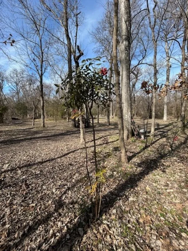 Unimproved Land For Sale in Collin County , 5215 COUNTY ROAD 277, Melissa, Texas 75454, 0, 0, Garage spaces, 0 Sqft, built in 0, Price $4,500,000, mls#21272390, Real Estate Agent in Melissa, Homes For Sale in Collin county, Homes For Sale in Melissa, Realtor in Melissa Texas, Real Estate Brokerage Independent Realty Texas, Luminita Cordes Realtor