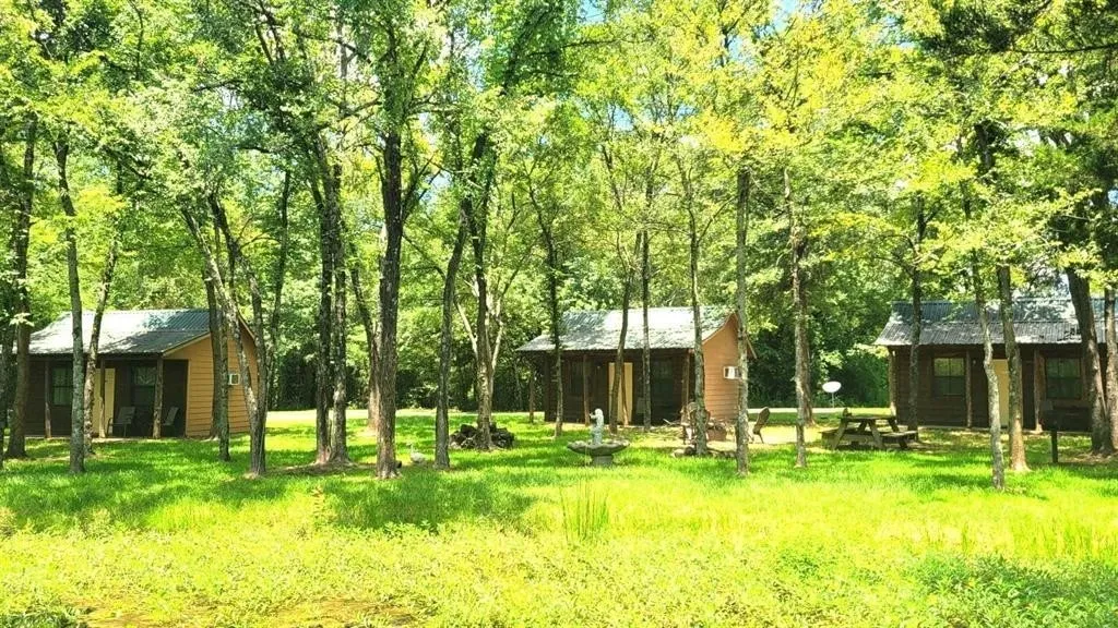 Business For Sale in Titus County , 2550 FM 21, Pittsburg, Texas 75686, 0, 0, Garage spaces, 0 Sqft, built in 2007, mls#21270873, Real Estate Agent in Pittsburg, Homes For Sale in Titus county, Homes For Sale in Pittsburg, Realtor in Pittsburg Texas, Real Estate Brokerage Independent Realty Texas, Luminita Cordes Realtor
