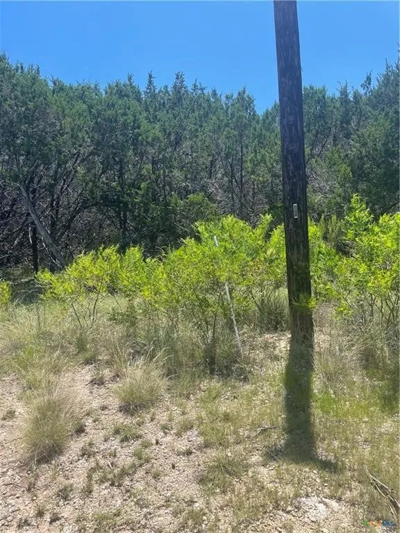Unimproved Land For Sale in Burnet County , Lot 65 Estate View Circle, Lampasas, Texas 76550, 0, 0, Garage spaces, 0 Sqft, built in 0, mls#21271178, Real Estate Agent in Lampasas, Homes For Sale in Burnet county, Homes For Sale in Lampasas, Realtor in Lampasas Texas, Real Estate Brokerage Independent Realty Texas, Luminita Cordes Realtor