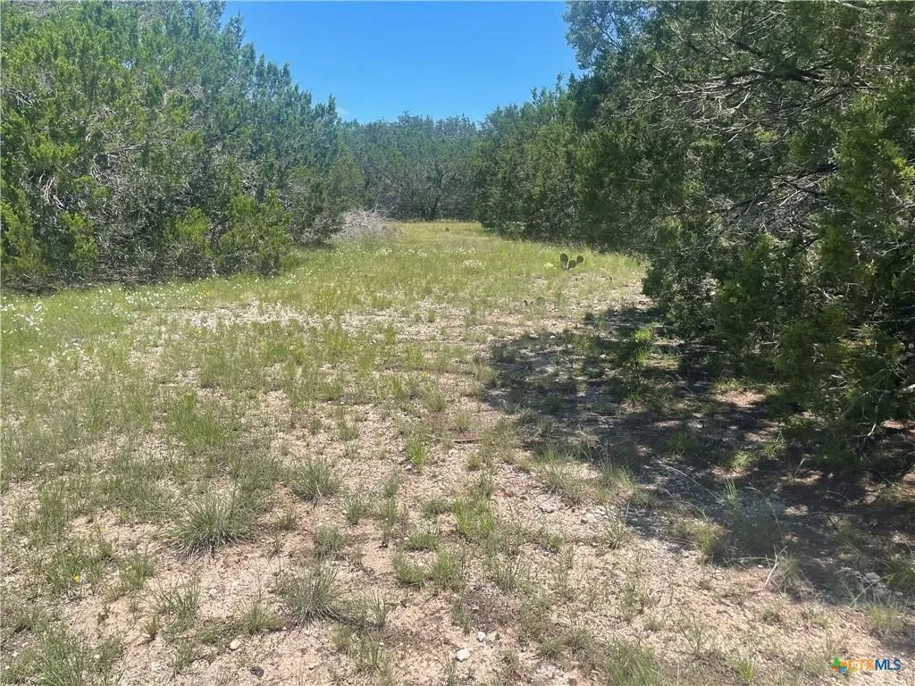 Unimproved Land For Sale in Burnet County , Lot 65 Estate View Circle, Lampasas, Texas 76550, 0, 0, Garage spaces, 0 Sqft, built in 0, mls#21271178, Real Estate Agent in Lampasas, Homes For Sale in Burnet county, Homes For Sale in Lampasas, Realtor in Lampasas Texas, Real Estate Brokerage Independent Realty Texas, Luminita Cordes Realtor