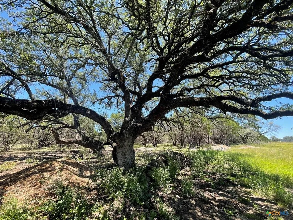 Unimproved Land For Sale in Burnet County , Lot 65 Estate View Circle, Lampasas, Texas 76550, 0, 0, Garage spaces, 0 Sqft, built in 0, mls#21271178, Real Estate Agent in Lampasas, Homes For Sale in Burnet county, Homes For Sale in Lampasas, Realtor in Lampasas Texas, Real Estate Brokerage Independent Realty Texas, Luminita Cordes Realtor