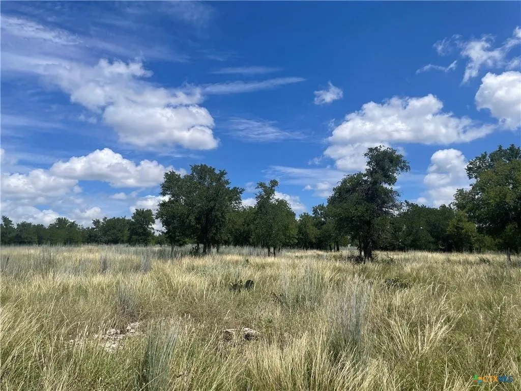 Unimproved Land For Sale in Burnet County , Lot 65 Estate View Circle, Lampasas, Texas 76550, 0, 0, Garage spaces, 0 Sqft, built in 0, mls#21271178, Real Estate Agent in Lampasas, Homes For Sale in Burnet county, Homes For Sale in Lampasas, Realtor in Lampasas Texas, Real Estate Brokerage Independent Realty Texas, Luminita Cordes Realtor