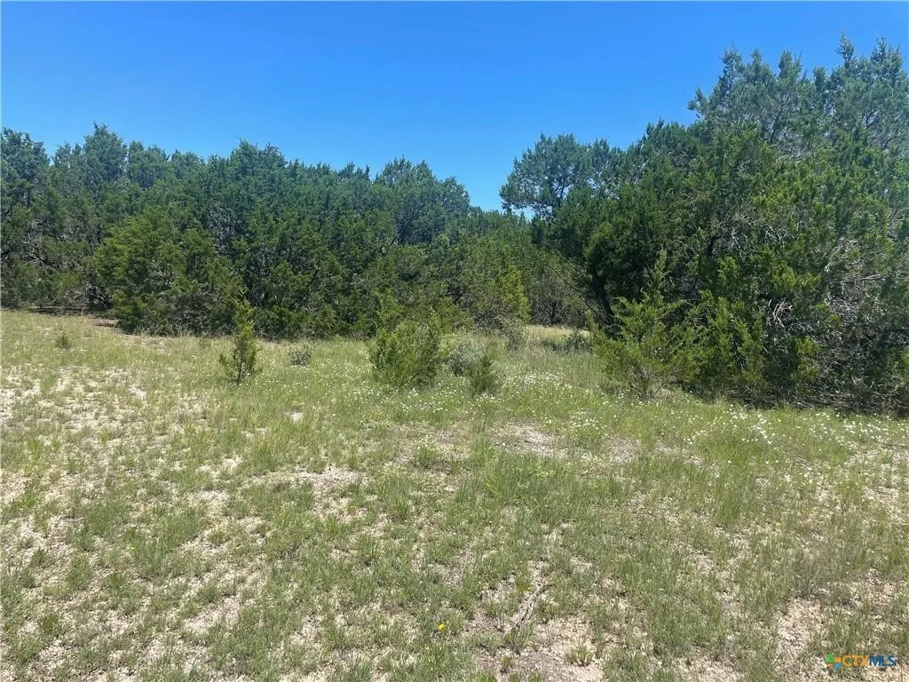 Unimproved Land For Sale in Burnet County , Lot 65 Estate View Circle, Lampasas, Texas 76550, 0, 0, Garage spaces, 0 Sqft, built in 0, mls#21271178, Real Estate Agent in Lampasas, Homes For Sale in Burnet county, Homes For Sale in Lampasas, Realtor in Lampasas Texas, Real Estate Brokerage Independent Realty Texas, Luminita Cordes Realtor