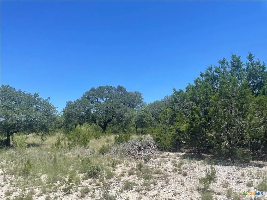 Unimproved Land For Sale in Burnet County , Lot 65 Estate View Circle, Lampasas, Texas 76550, 0, 0, Garage spaces, 0 Sqft, built in 0, mls#21271178, Real Estate Agent in Lampasas, Homes For Sale in Burnet county, Homes For Sale in Lampasas, Realtor in Lampasas Texas, Real Estate Brokerage Independent Realty Texas, Luminita Cordes Realtor