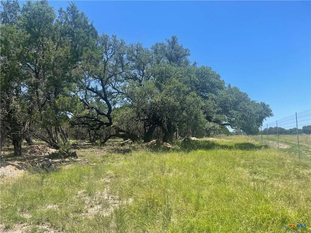 Unimproved Land For Sale in Burnet County , Lot 65 Estate View Circle, Lampasas, Texas 76550, 0, 0, Garage spaces, 0 Sqft, built in 0, mls#21271178, Real Estate Agent in Lampasas, Homes For Sale in Burnet county, Homes For Sale in Lampasas, Realtor in Lampasas Texas, Real Estate Brokerage Independent Realty Texas, Luminita Cordes Realtor