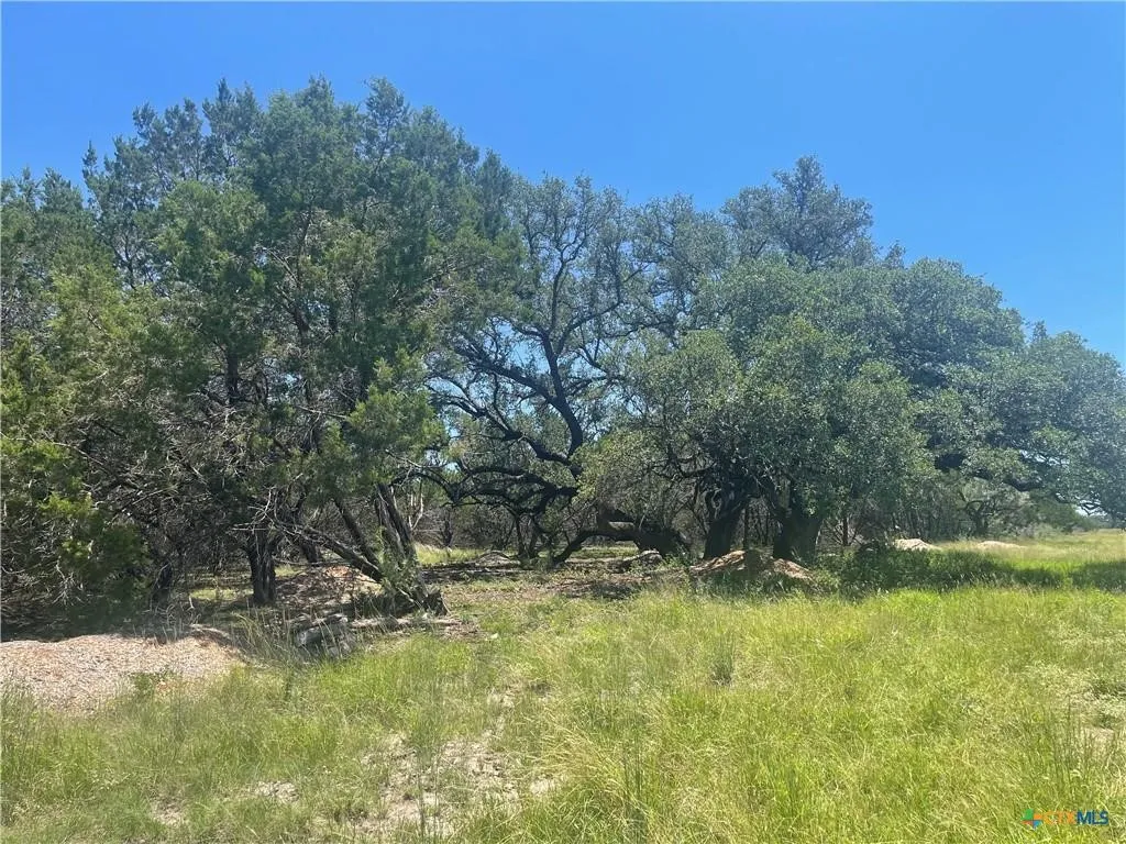 Unimproved Land For Sale in Burnet County , Lot 65 Estate View Circle, Lampasas, Texas 76550, 0, 0, Garage spaces, 0 Sqft, built in 0, mls#21271178, Real Estate Agent in Lampasas, Homes For Sale in Burnet county, Homes For Sale in Lampasas, Realtor in Lampasas Texas, Real Estate Brokerage Independent Realty Texas, Luminita Cordes Realtor