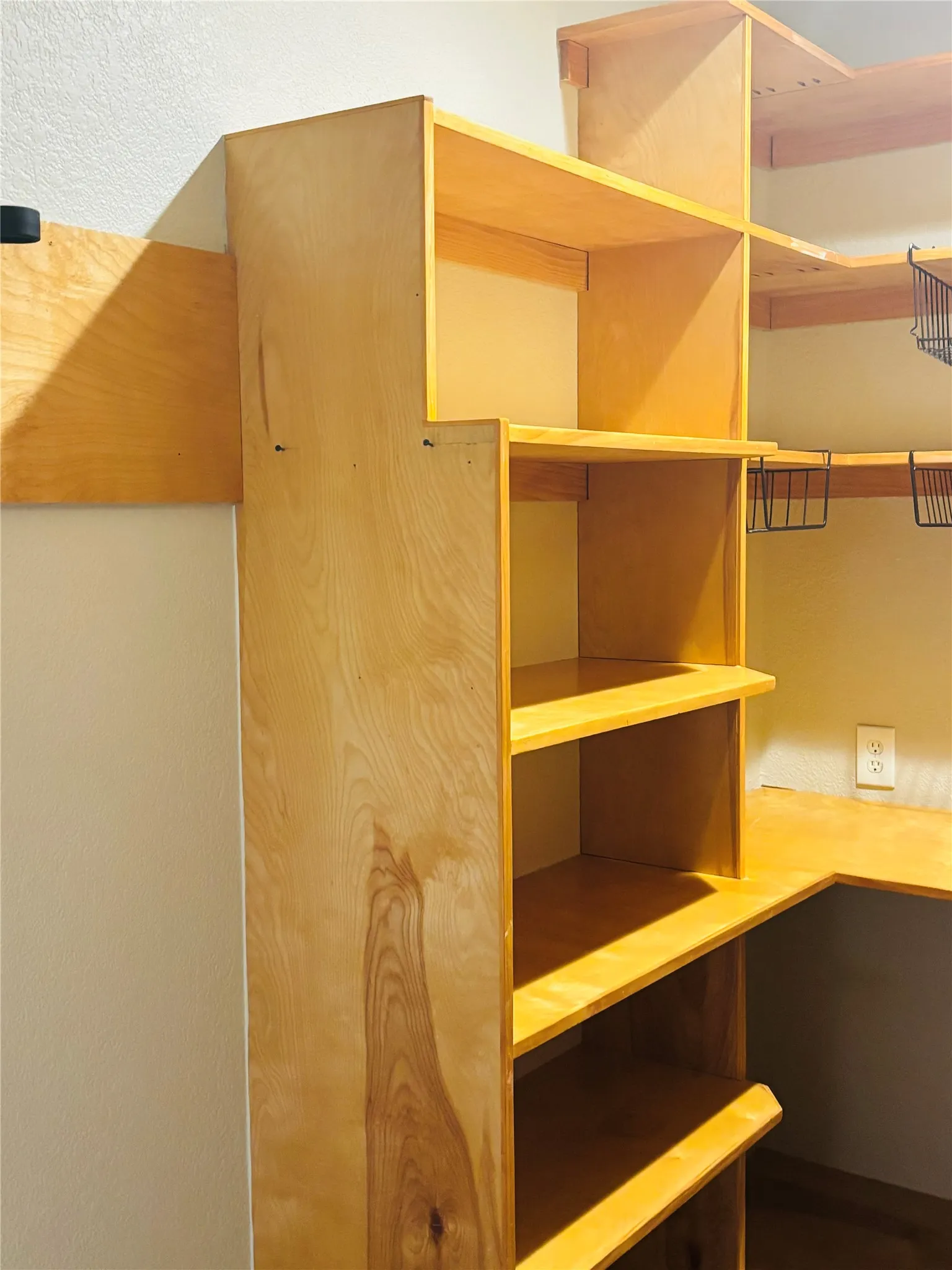 Large Pantry with Fantastic Custom Shelving