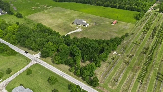 Unimproved Land For Sale in Grayson County , Tbd Mcfarlin Road Lot 3R, Collinsville, Texas 76233, 0, 0, Garage spaces, 0 Sqft, built in 0, mls#21272492, Real Estate Agent in Collinsville, Homes For Sale in Grayson county, Homes For Sale in Collinsville, Realtor in Collinsville Texas, Real Estate Brokerage Independent Realty Texas, Luminita Cordes Realtor