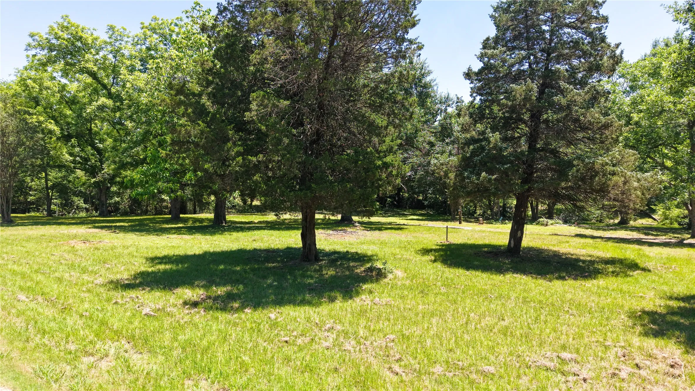 Scenic yard view highlighted by mature hardwoods and shaded spaces ideal for relaxing or future homesites.