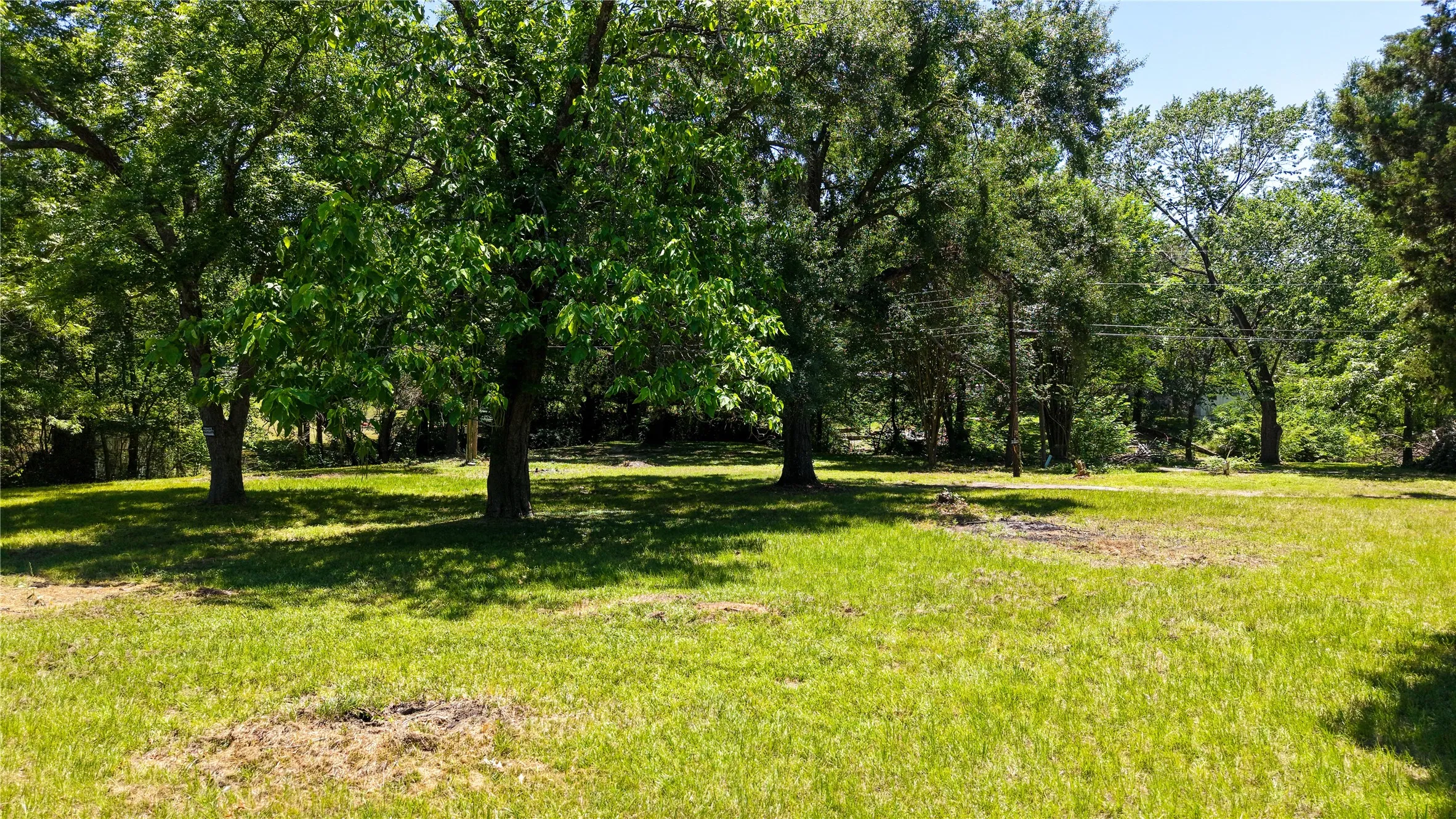 Spacious yard area featuring mature trees and abundant natural shade throughout the property.