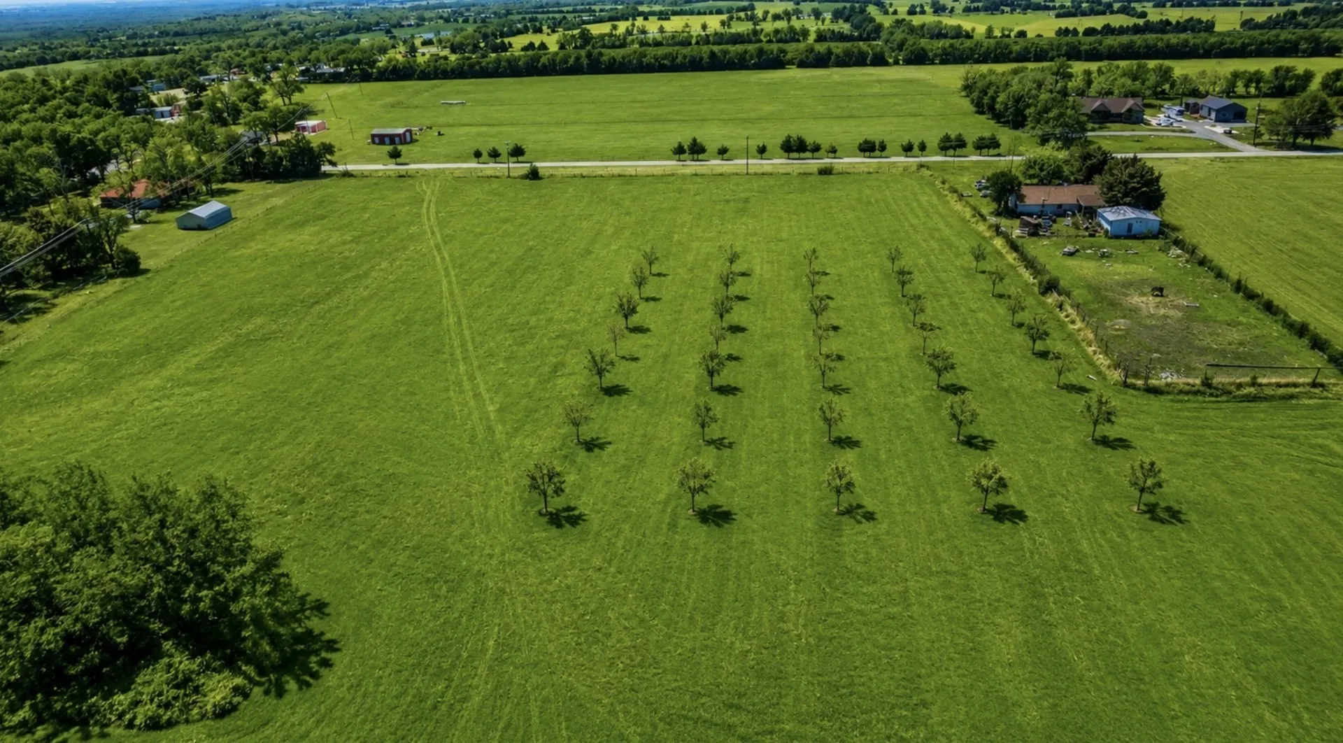 Unimproved Land For Sale in Collin County , tbd CR 571, Farmersville, Texas 75442, 0, 0, Garage spaces, 0 Sqft, built in 0, Price $1,053,650, mls#21272328, Real Estate Agent in Farmersville, Homes For Sale in Collin county, Homes For Sale in Farmersville, Realtor in Farmersville Texas, Real Estate Brokerage Independent Realty Texas, Luminita Cordes Realtor