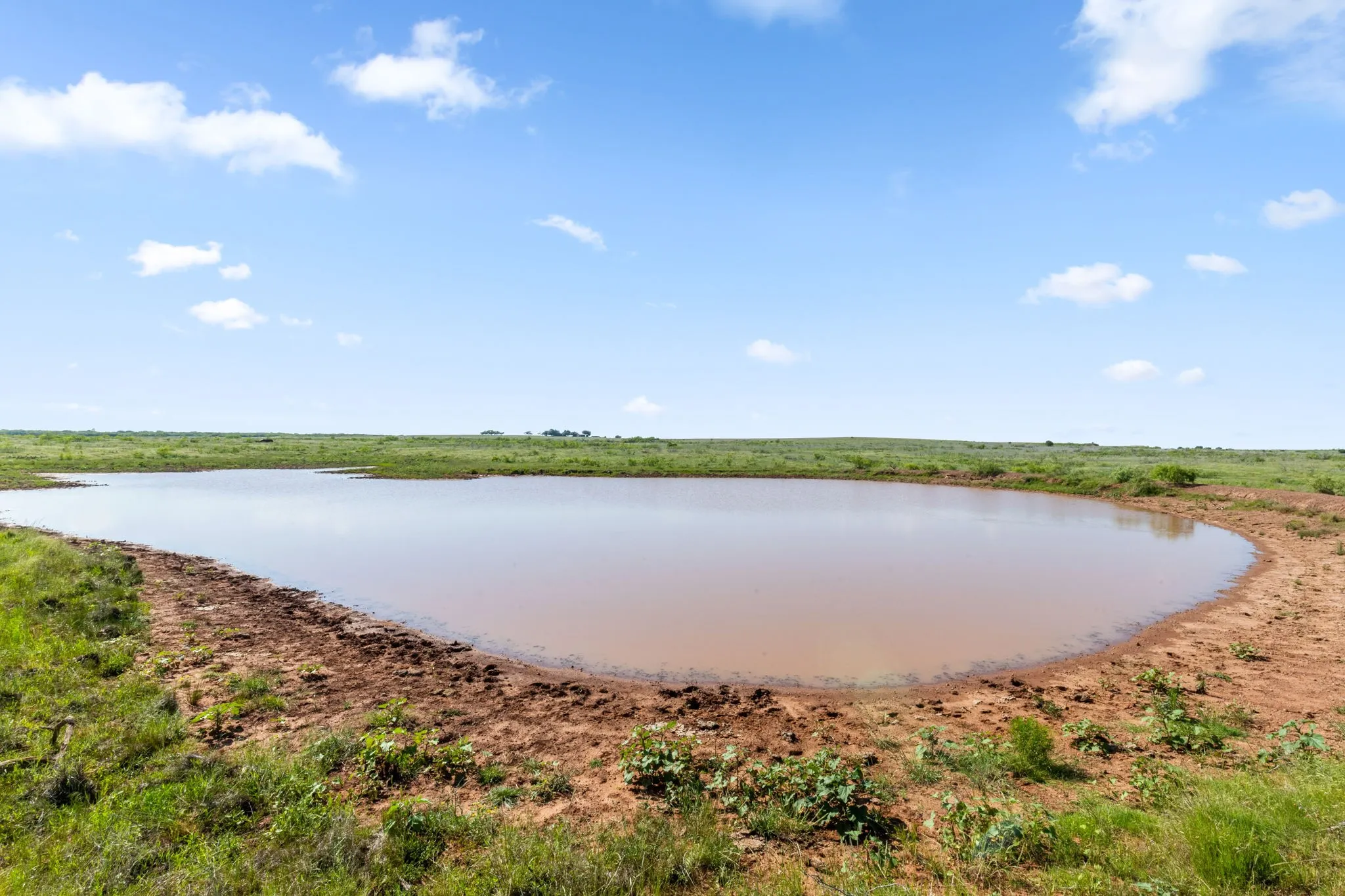 Ranch For Sale in Montague County , TBD Dutton, Ringgold, Texas 76261, 0, 0, Garage spaces, 0 Sqft, built in 0, Price $1,370,000, mls#21272662, Real Estate Agent in Ringgold, Homes For Sale in Montague county, Homes For Sale in Ringgold, Realtor in Ringgold Texas, Real Estate Brokerage Independent Realty Texas, Luminita Cordes Realtor