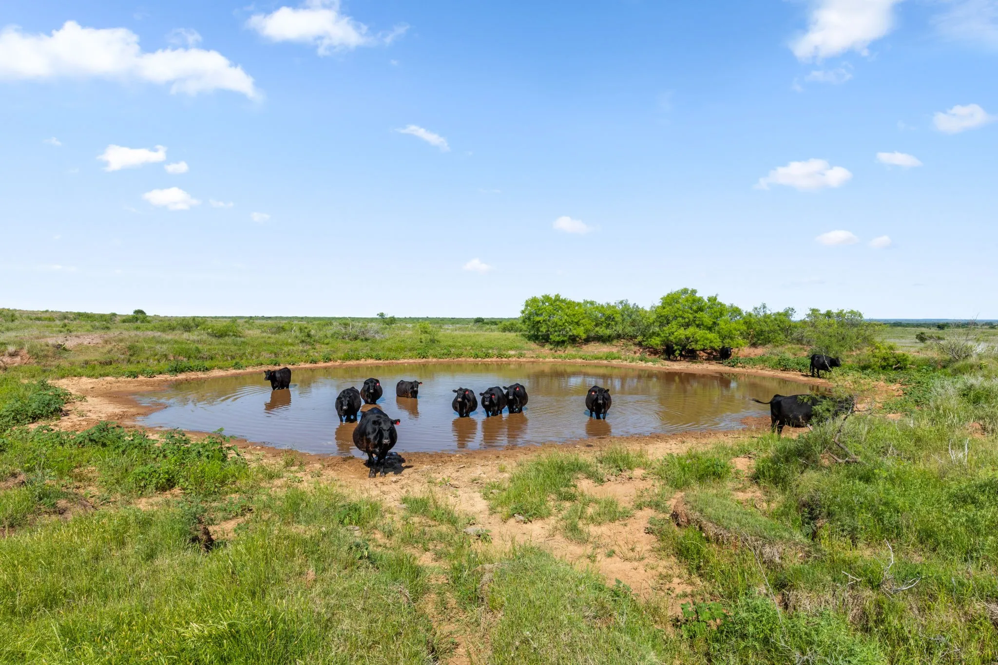Ranch For Sale in Montague County , TBD Dutton, Ringgold, Texas 76261, 0, 0, Garage spaces, 0 Sqft, built in 0, Price $1,370,000, mls#21272662, Real Estate Agent in Ringgold, Homes For Sale in Montague county, Homes For Sale in Ringgold, Realtor in Ringgold Texas, Real Estate Brokerage Independent Realty Texas, Luminita Cordes Realtor