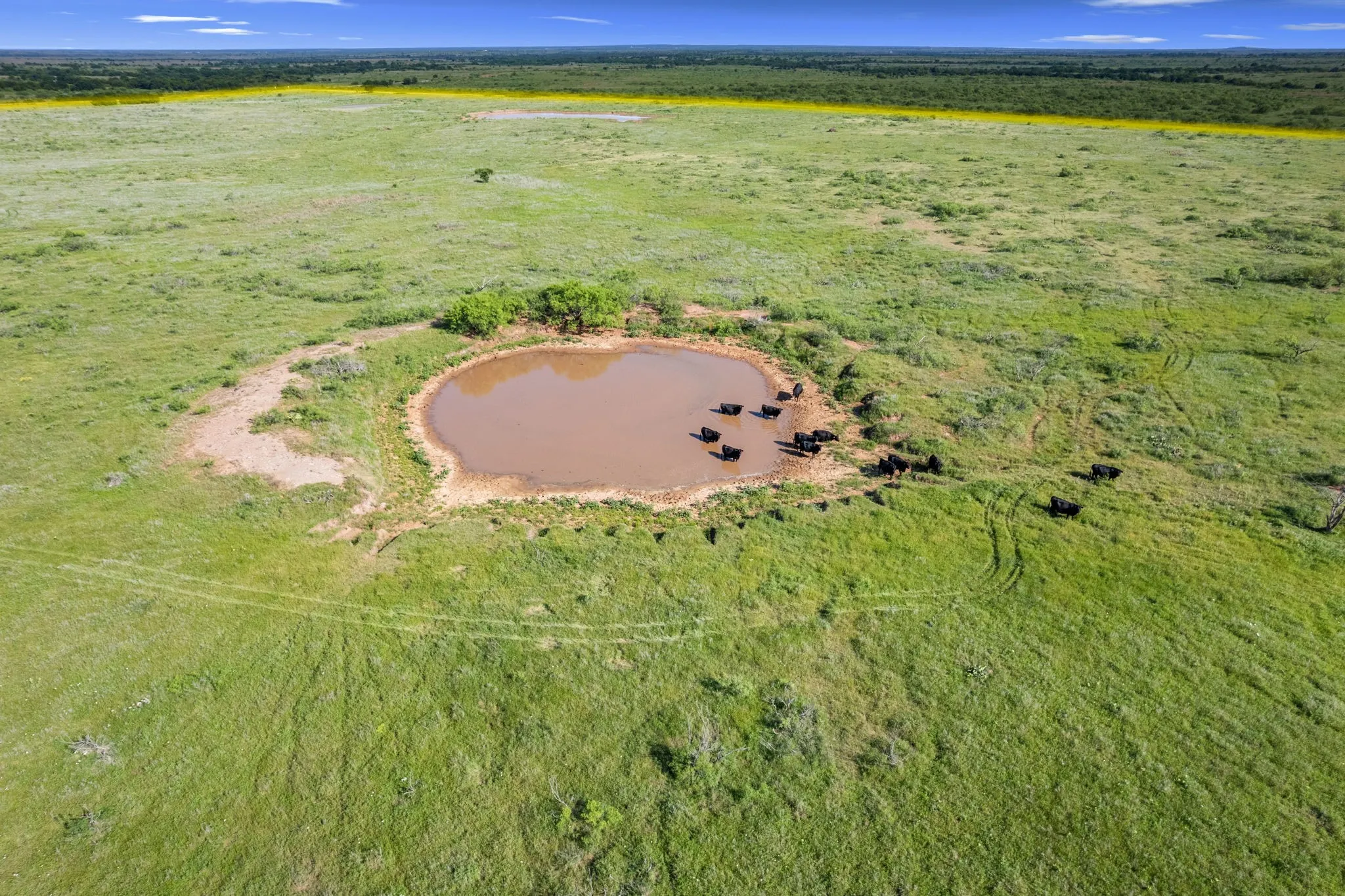 Ranch For Sale in Montague County , TBD Dutton, Ringgold, Texas 76261, 0, 0, Garage spaces, 0 Sqft, built in 0, Price $1,370,000, mls#21272662, Real Estate Agent in Ringgold, Homes For Sale in Montague county, Homes For Sale in Ringgold, Realtor in Ringgold Texas, Real Estate Brokerage Independent Realty Texas, Luminita Cordes Realtor