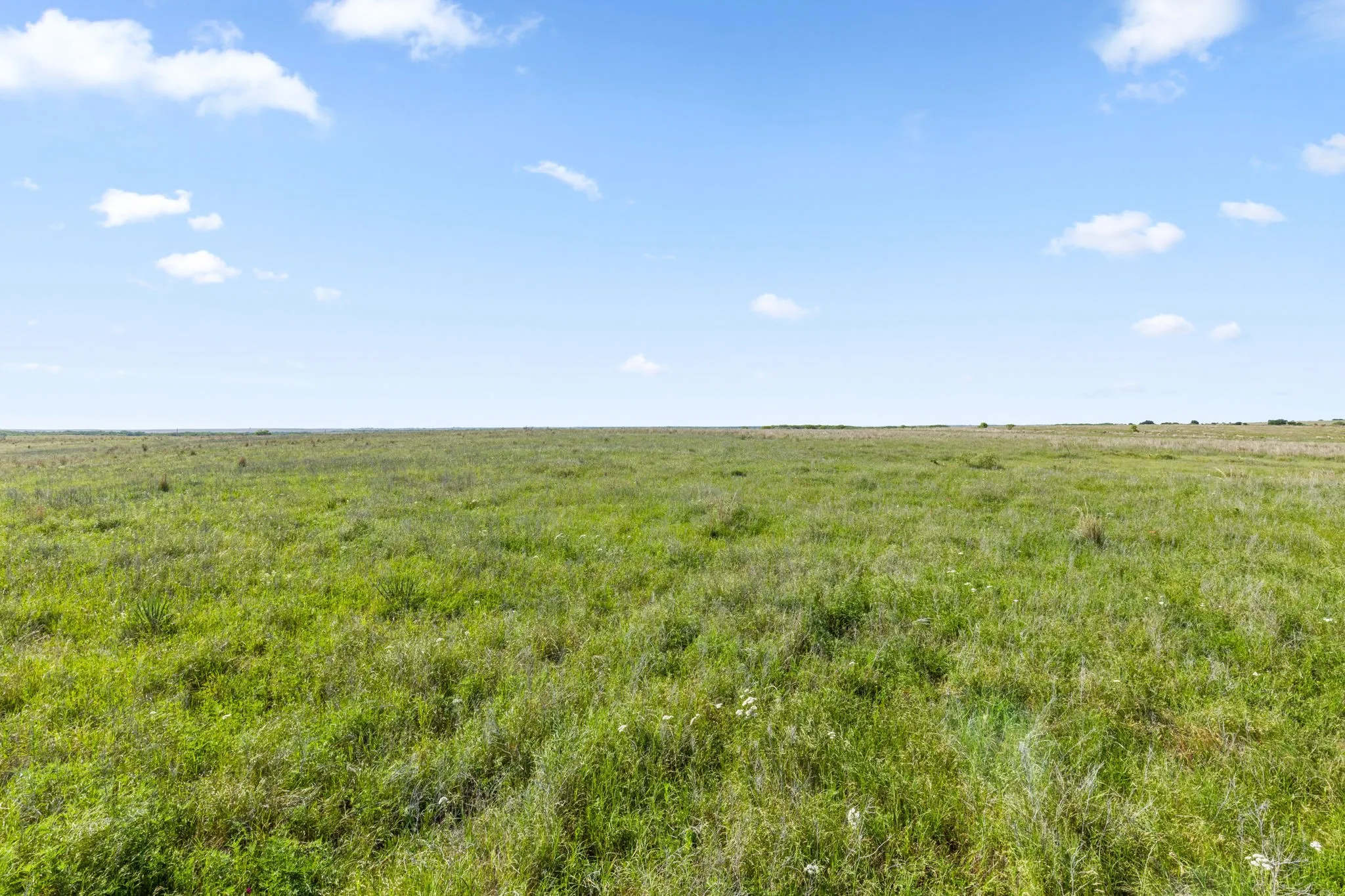 Ranch For Sale in Montague County , TBD Dutton, Ringgold, Texas 76261, 0, 0, Garage spaces, 0 Sqft, built in 0, Price $1,370,000, mls#21272662, Real Estate Agent in Ringgold, Homes For Sale in Montague county, Homes For Sale in Ringgold, Realtor in Ringgold Texas, Real Estate Brokerage Independent Realty Texas, Luminita Cordes Realtor