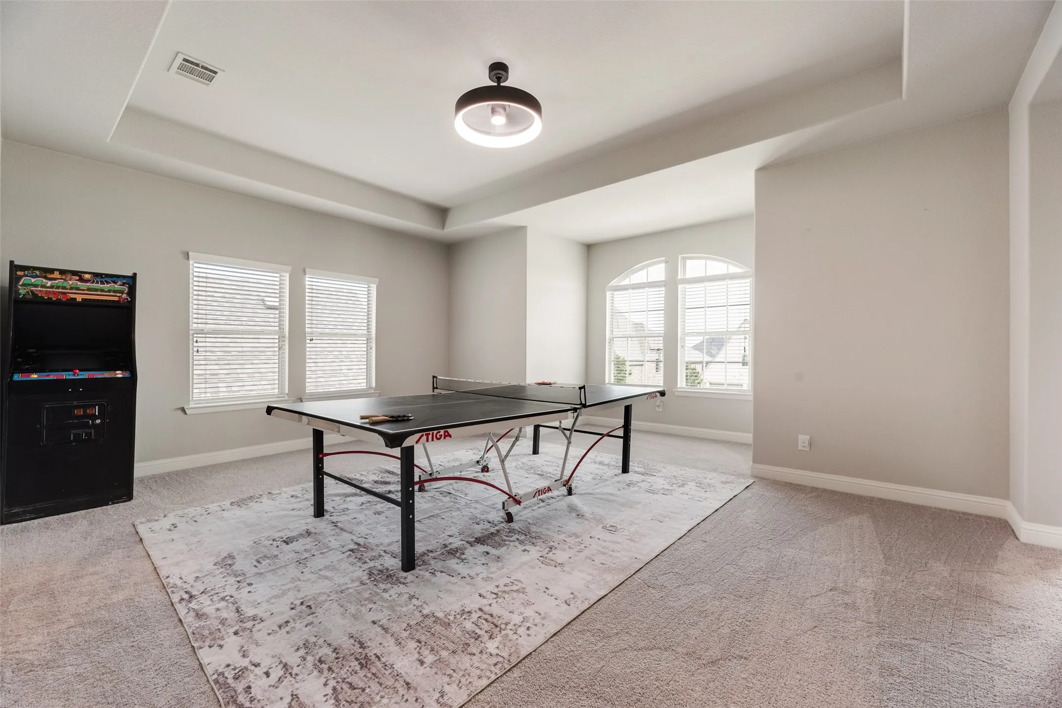 Spacious bonus room featuring plush carpeting, a tray ceiling, and a contemporary ceiling light fixture