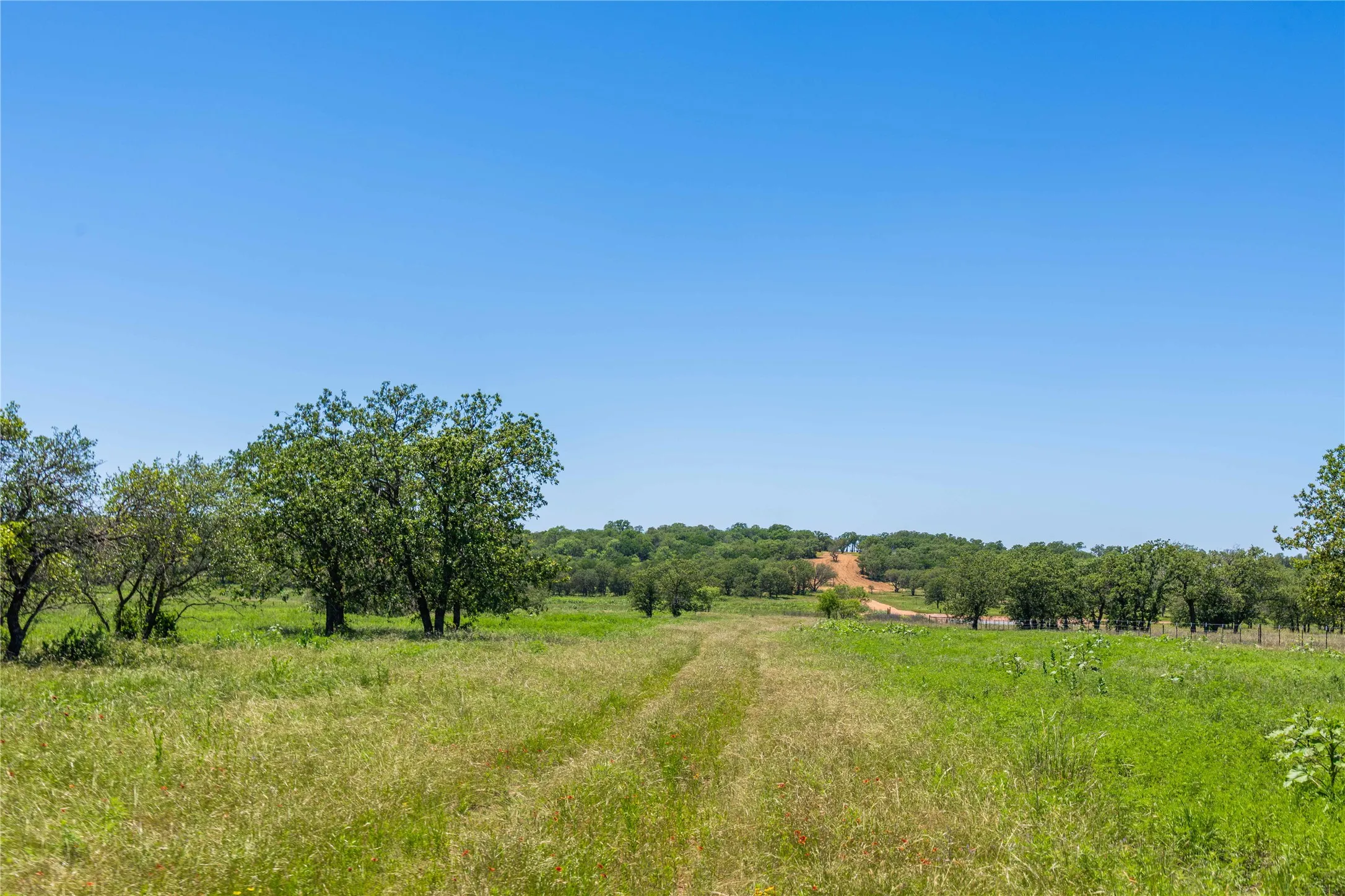 Expansive green landscape with a natural path, mature trees, and clear blue skies