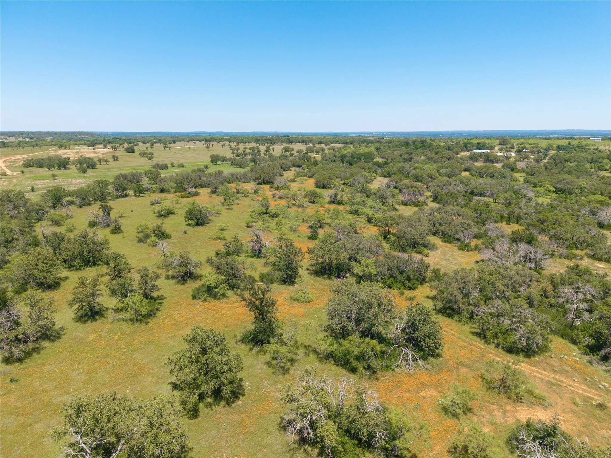 Expansive rural landscape featuring scattered trees, open grassy areas, and natural vegetation under a clear sky