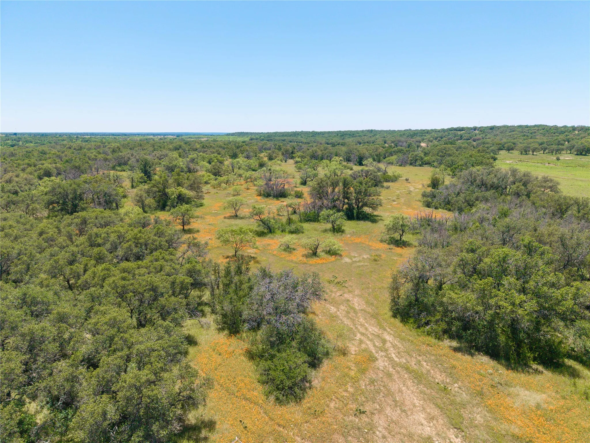 Expansive acreage featuring abundant mature trees, open clearings with natural ground cover, and a verdant landscape under a clear sky