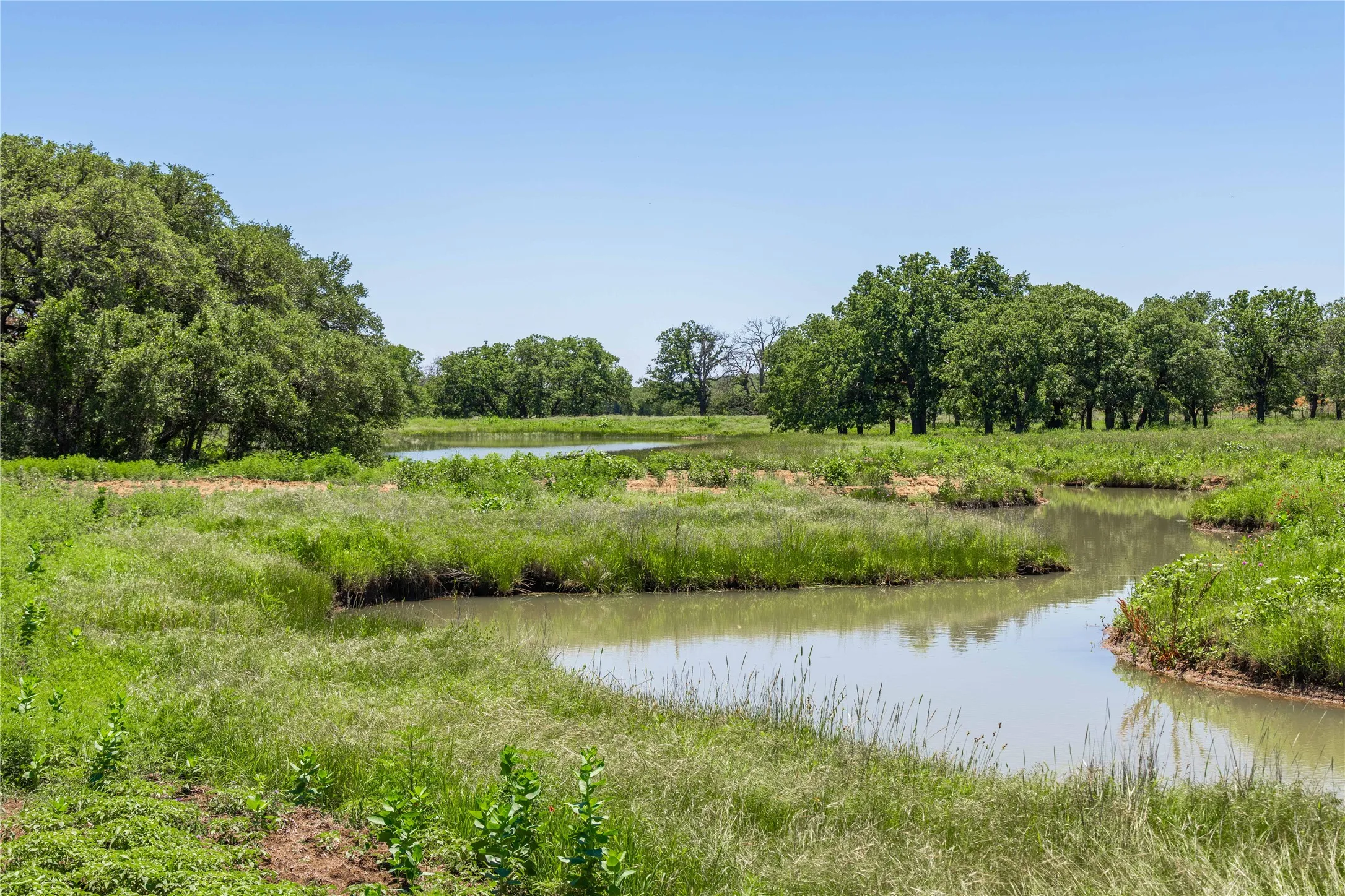 Winding waterway bordered by lush green grass, mature trees, and natural vegetation