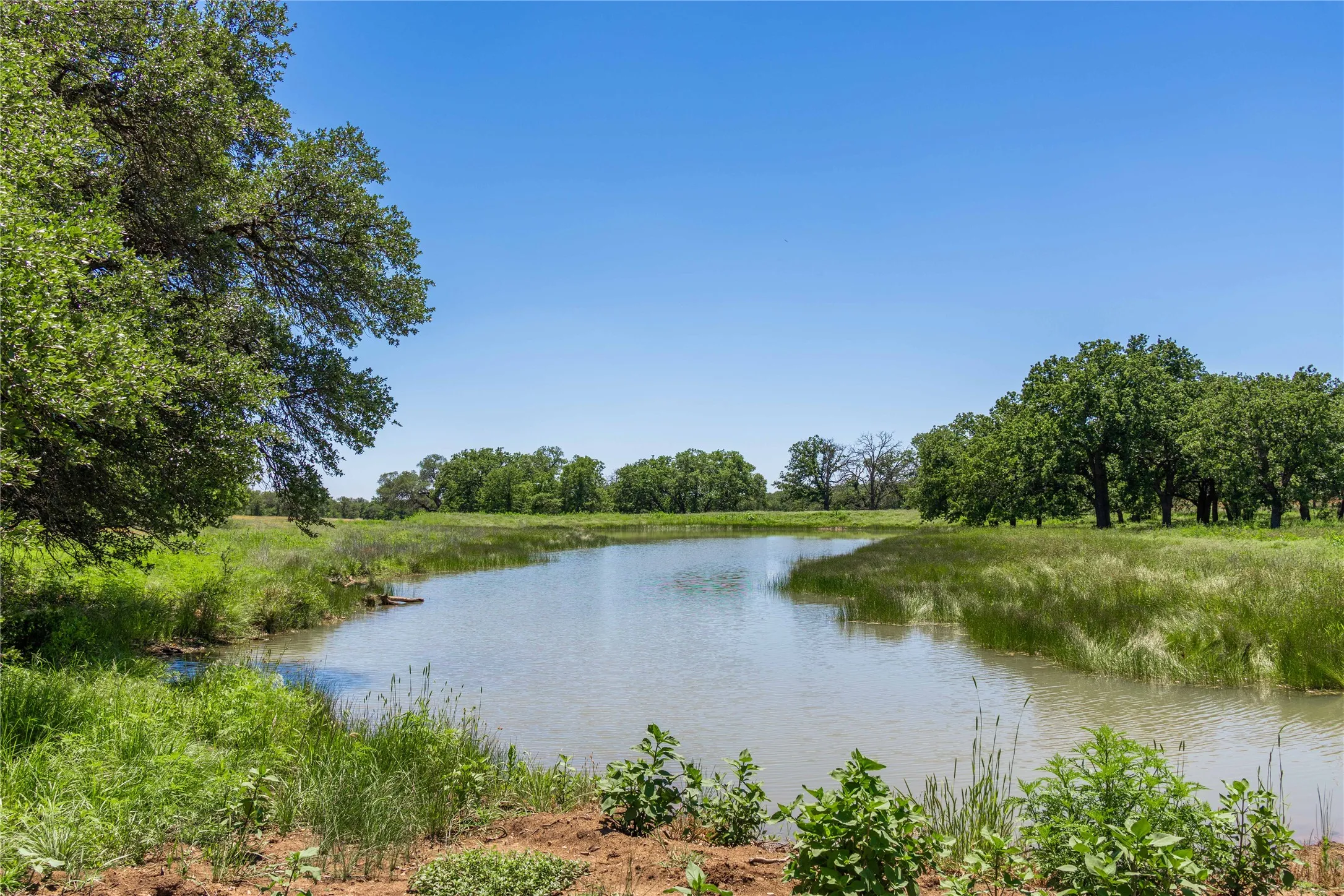 Natural body of water surrounded by lush greenery and mature trees