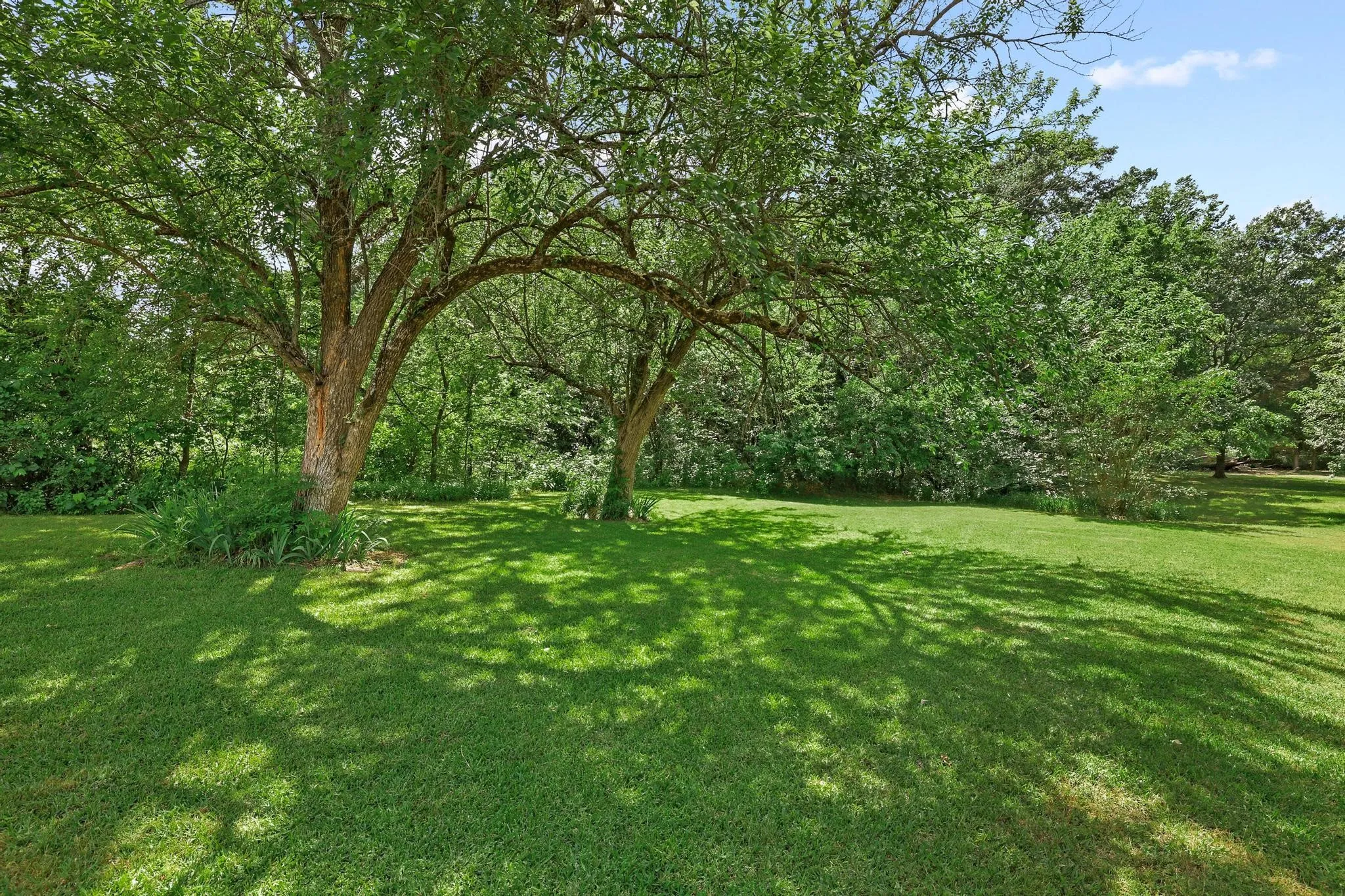 Expansive green lawn providing ample open space