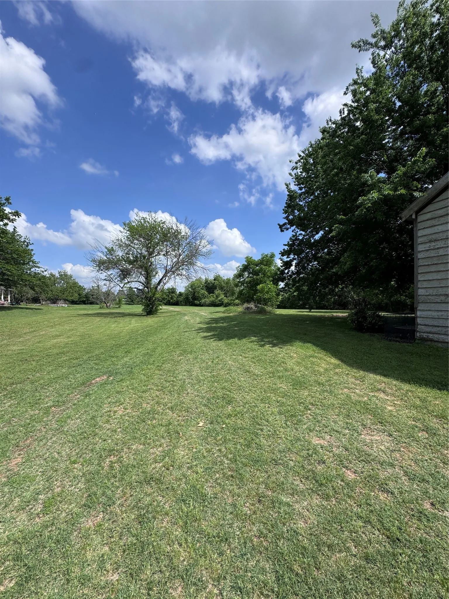 Expansive outdoor space featuring a broad lawn, various mature trees, and a visible outbuilding with horizontal siding