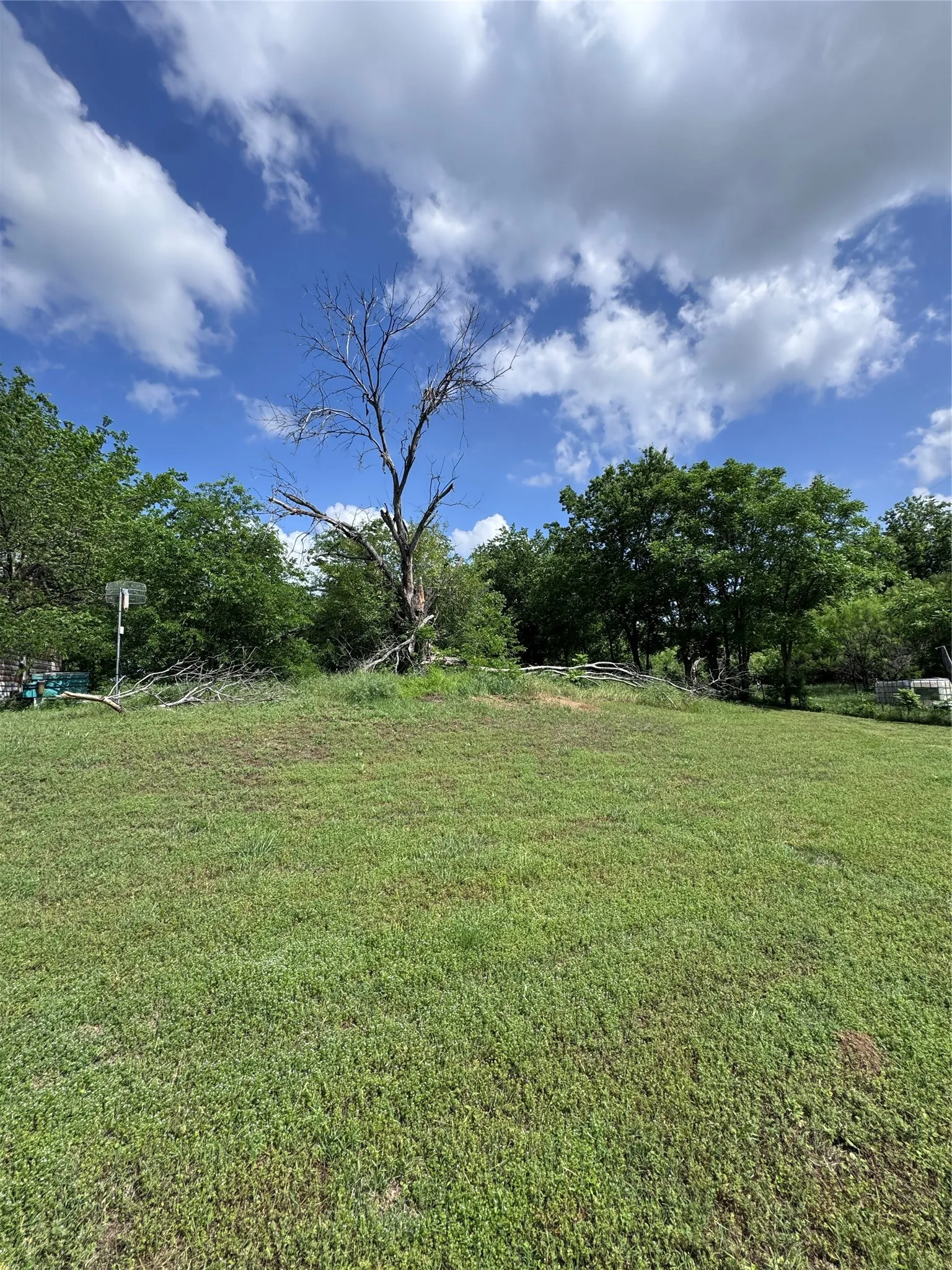 Expansive green space featuring mature trees and a clear blue sky with white clouds