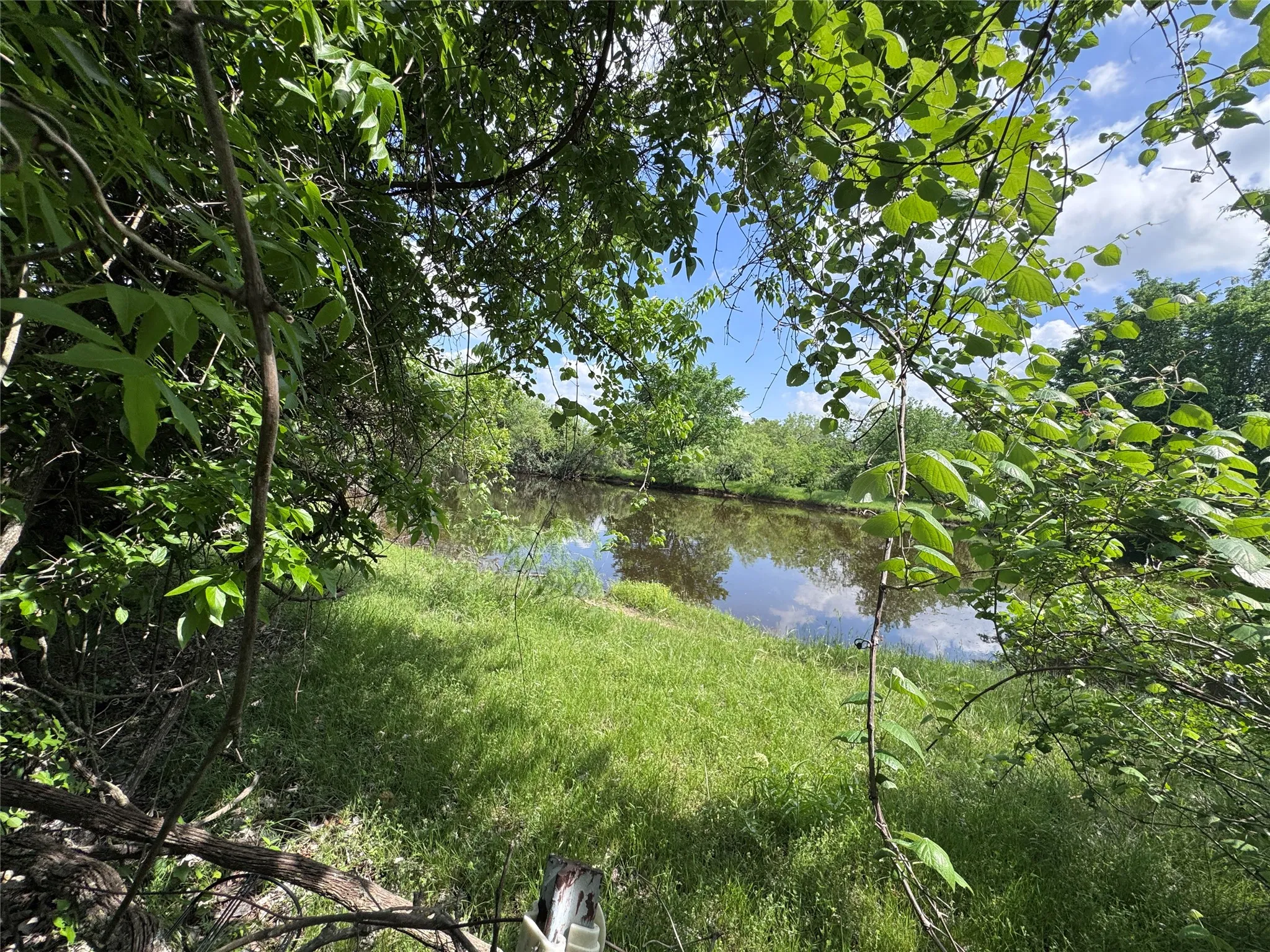 Natural water feature bordered by lush green foliage and mature trees under a clear sky