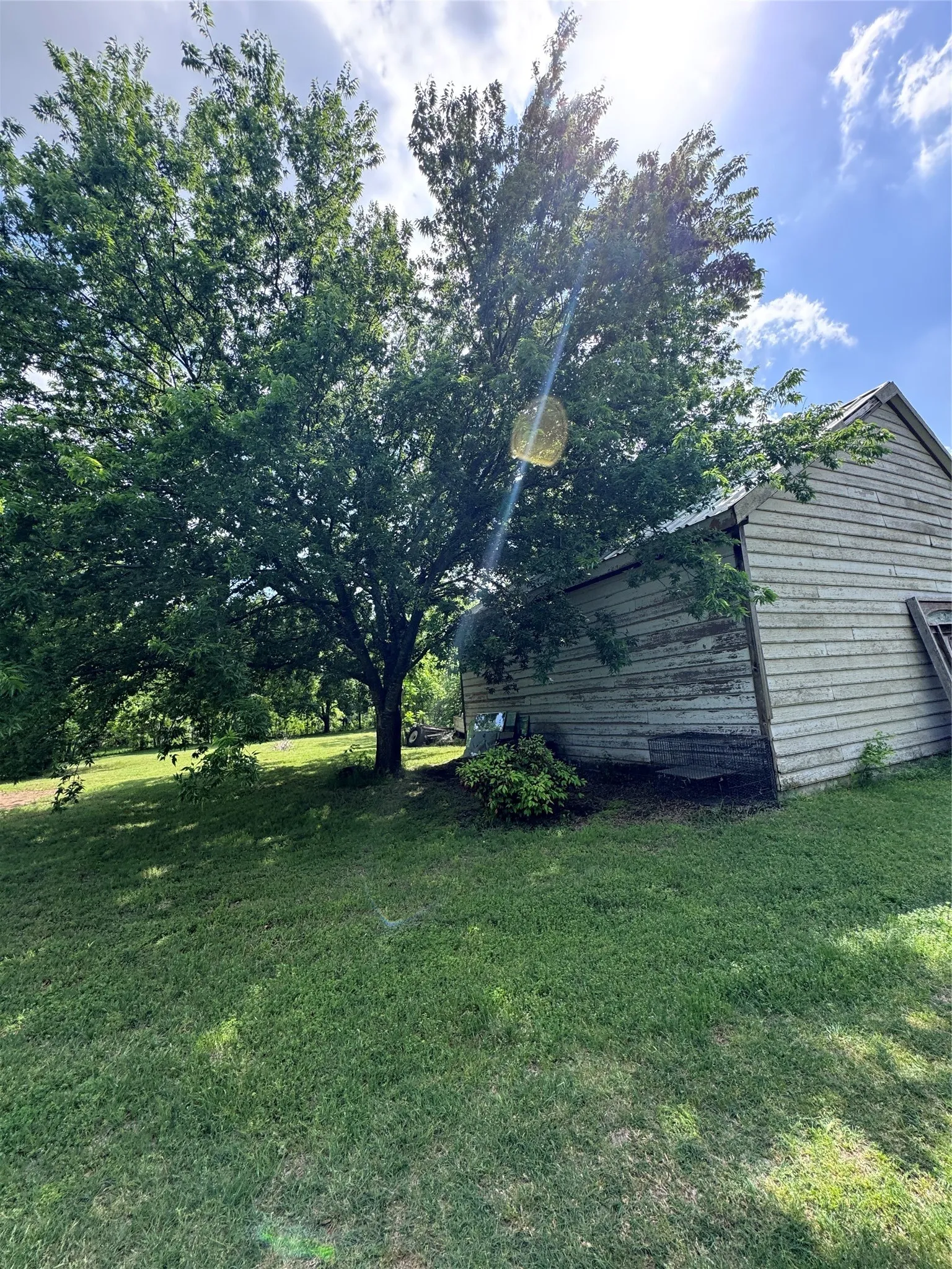 Spacious outdoor area featuring a mature tree providing natural shade, a grassy lawn, and a siding outbuilding