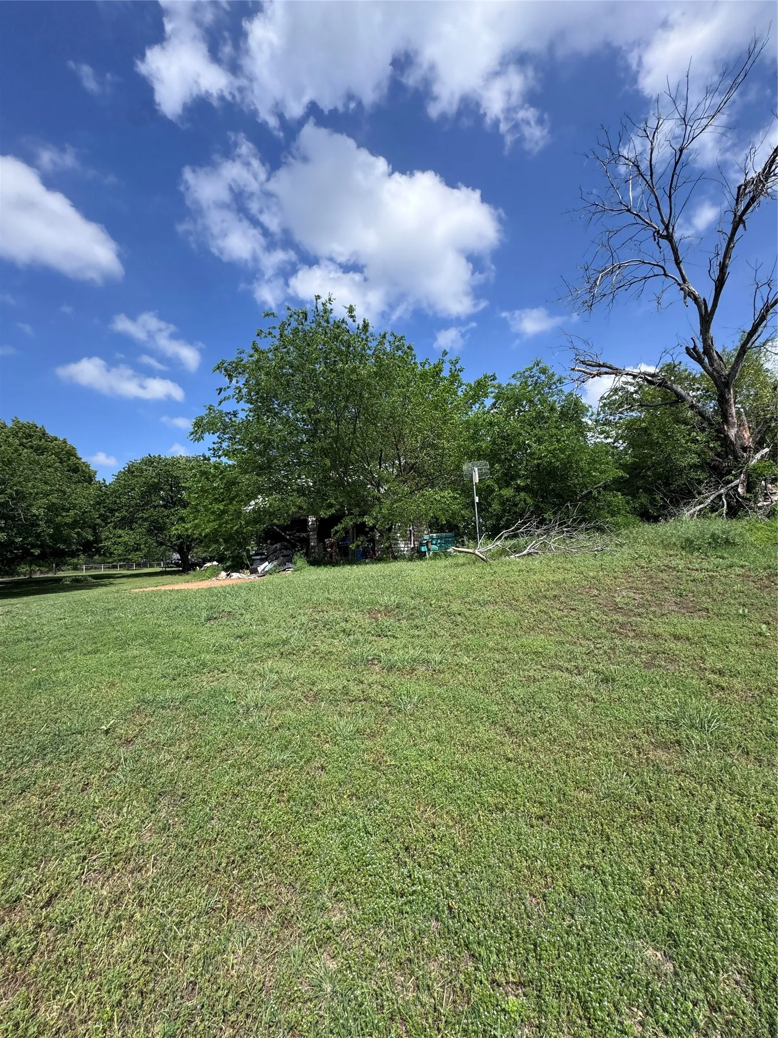 Expansive green lawn with mature trees and a clear blue sky