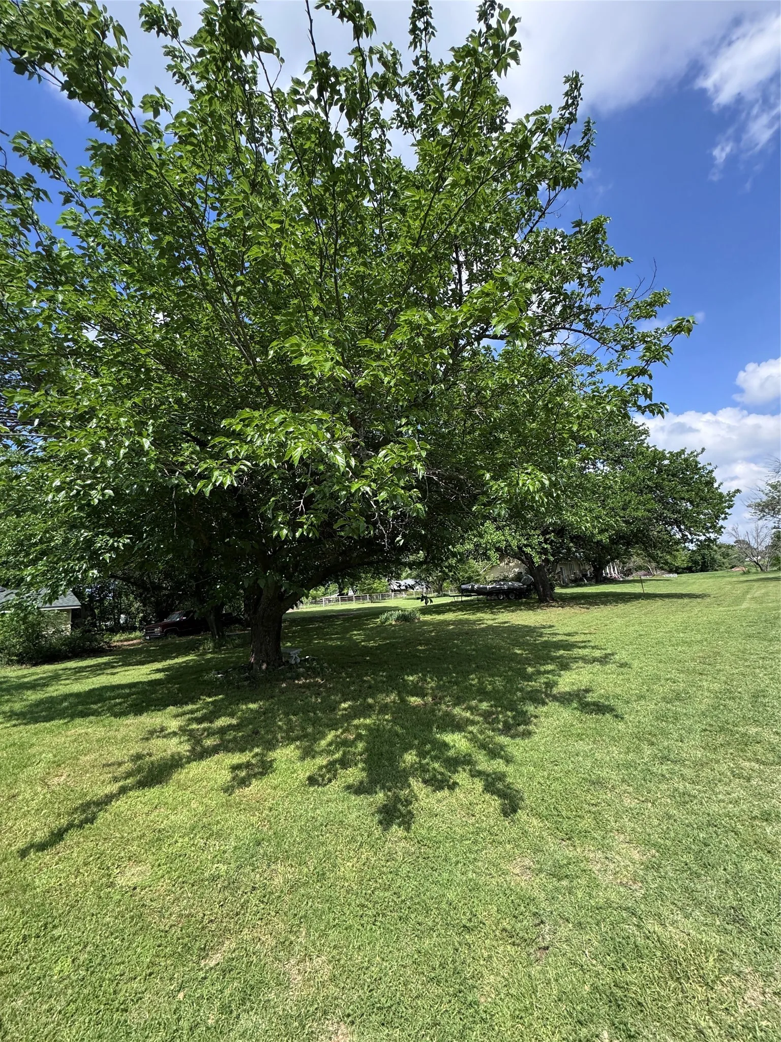 Expansive green lawn with mature shade trees