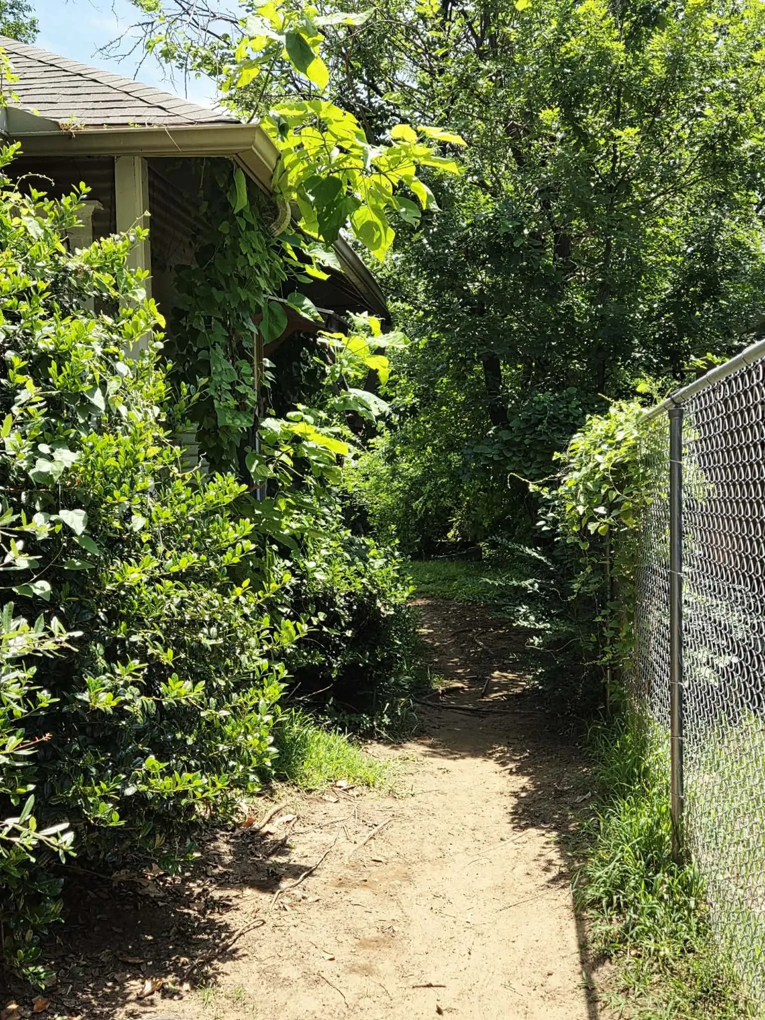 Natural landscaping with mature foliage