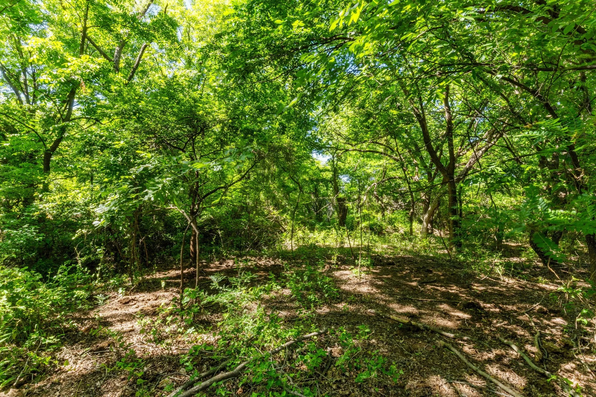 Ranch For Sale in Montague County , TBD Highway 82 623.3, Ringgold, Texas 76261, 0, 0, Garage spaces, 0 Sqft, built in 0, Price $3,769,800, mls#21272876, Real Estate Agent in Ringgold, Homes For Sale in Montague county, Homes For Sale in Ringgold, Realtor in Ringgold Texas, Real Estate Brokerage Independent Realty Texas, Luminita Cordes Realtor