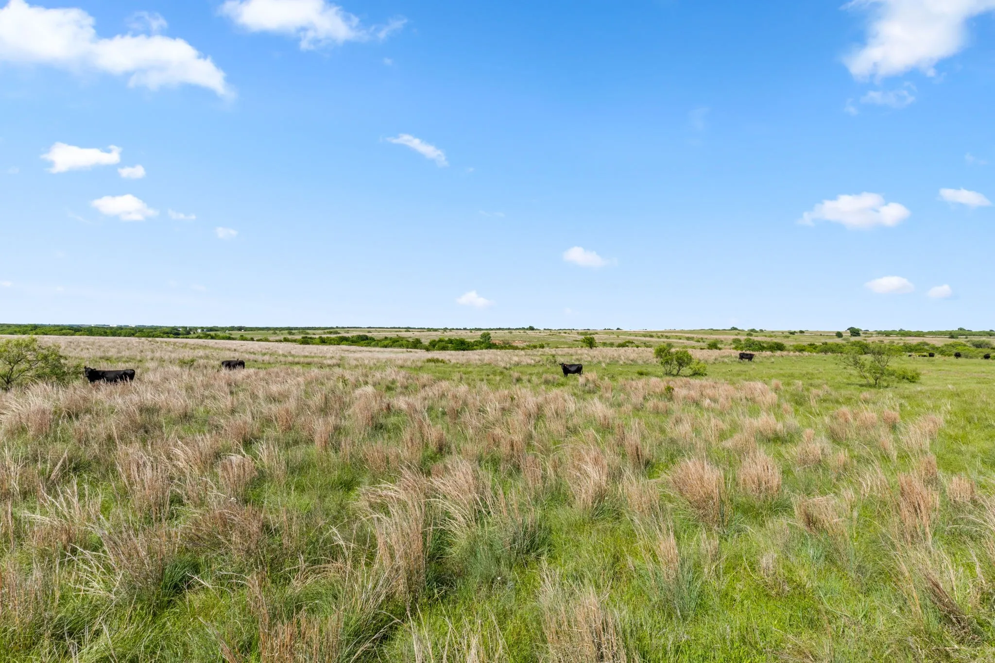 Ranch For Sale in Montague County , TBD Highway 82 623.3, Ringgold, Texas 76261, 0, 0, Garage spaces, 0 Sqft, built in 0, Price $3,769,800, mls#21272876, Real Estate Agent in Ringgold, Homes For Sale in Montague county, Homes For Sale in Ringgold, Realtor in Ringgold Texas, Real Estate Brokerage Independent Realty Texas, Luminita Cordes Realtor