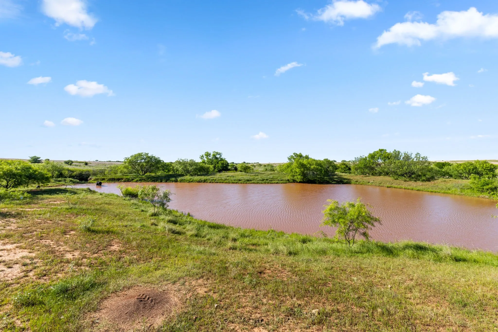 Ranch For Sale in Montague County , TBD Highway 82 623.3, Ringgold, Texas 76261, 0, 0, Garage spaces, 0 Sqft, built in 0, Price $3,769,800, mls#21272876, Real Estate Agent in Ringgold, Homes For Sale in Montague county, Homes For Sale in Ringgold, Realtor in Ringgold Texas, Real Estate Brokerage Independent Realty Texas, Luminita Cordes Realtor