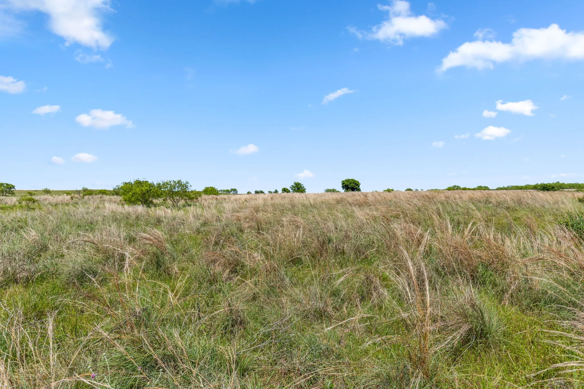 Ranch For Sale in Montague County , TBD Highway 82 623.3, Ringgold, Texas 76261, 0, 0, Garage spaces, 0 Sqft, built in 0, Price $3,769,800, mls#21272876, Real Estate Agent in Ringgold, Homes For Sale in Montague county, Homes For Sale in Ringgold, Realtor in Ringgold Texas, Real Estate Brokerage Independent Realty Texas, Luminita Cordes Realtor