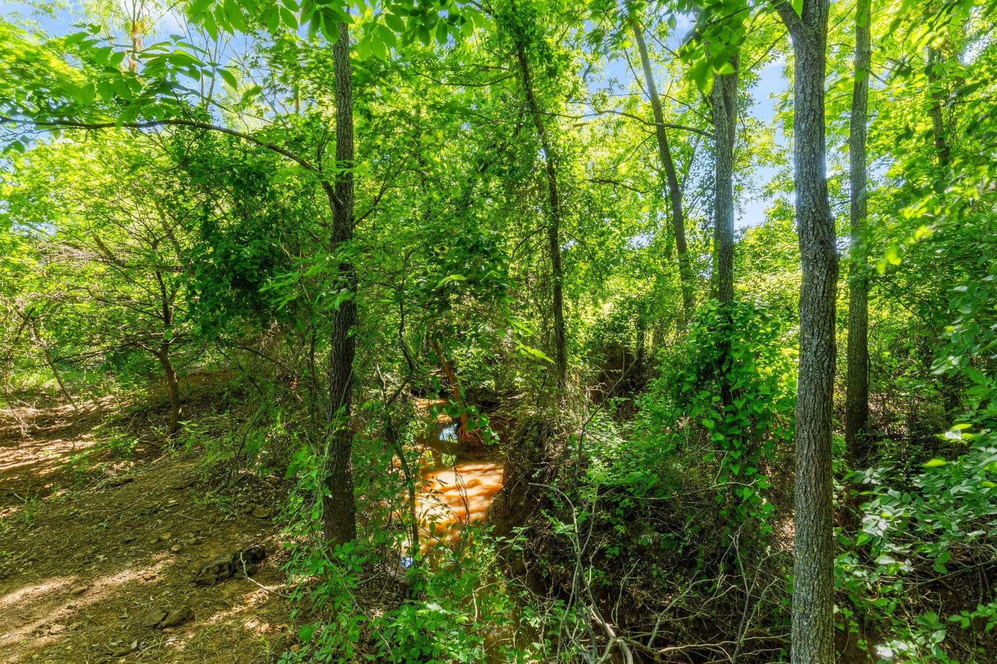 Ranch For Sale in Montague County , TBD Highway 82 623.3, Ringgold, Texas 76261, 0, 0, Garage spaces, 0 Sqft, built in 0, Price $3,769,800, mls#21272876, Real Estate Agent in Ringgold, Homes For Sale in Montague county, Homes For Sale in Ringgold, Realtor in Ringgold Texas, Real Estate Brokerage Independent Realty Texas, Luminita Cordes Realtor